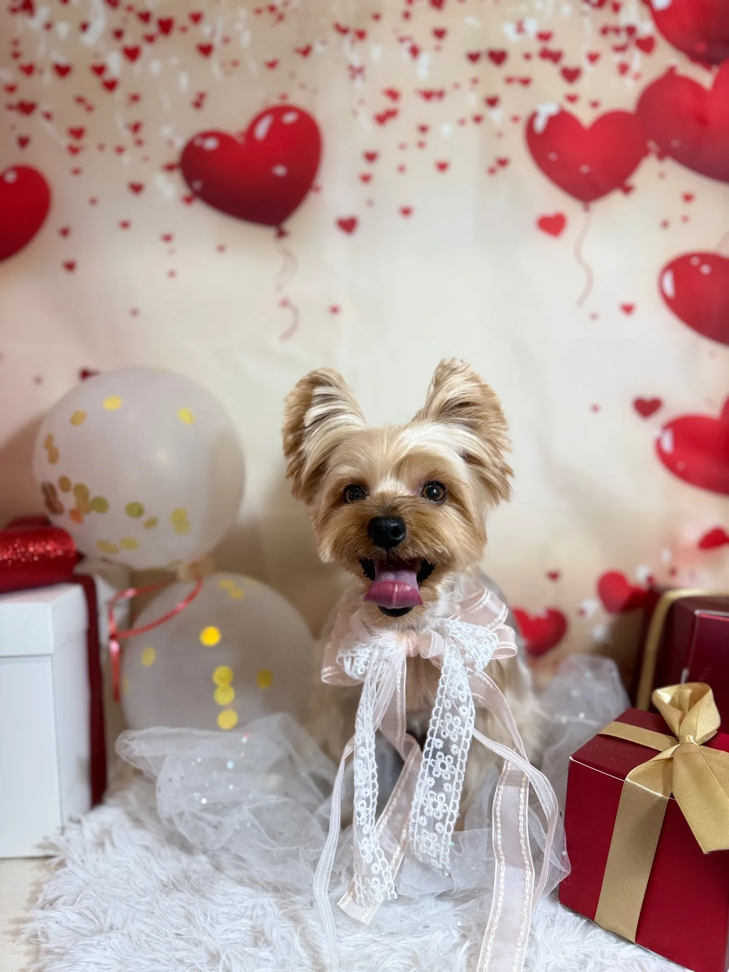 ギントキちゃん