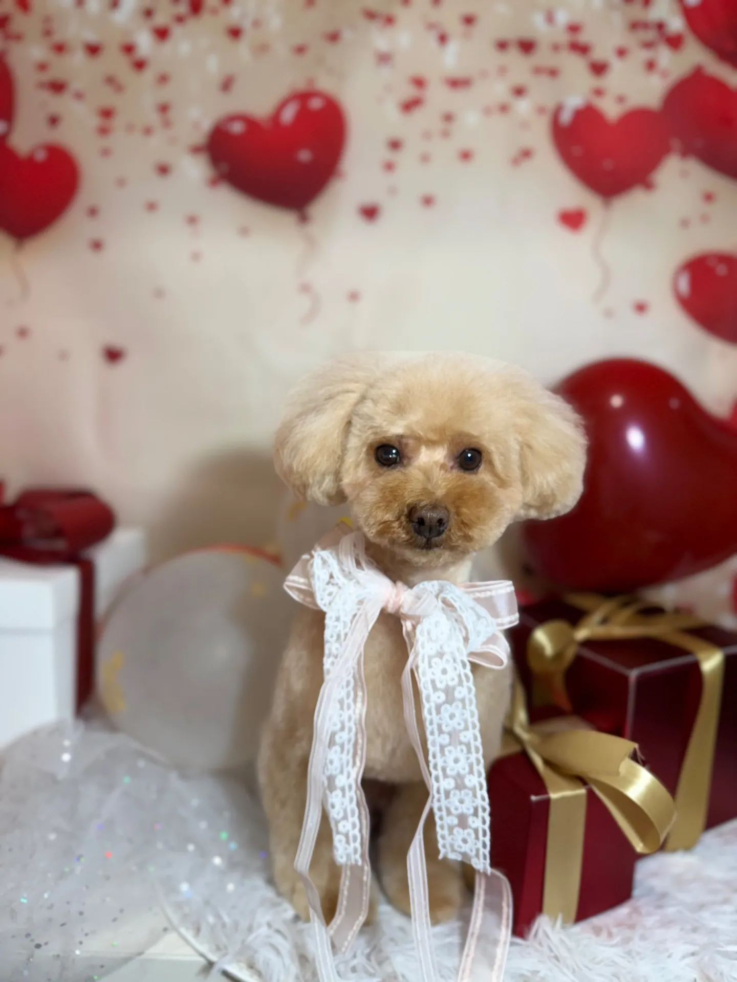 ラルフィちゃん