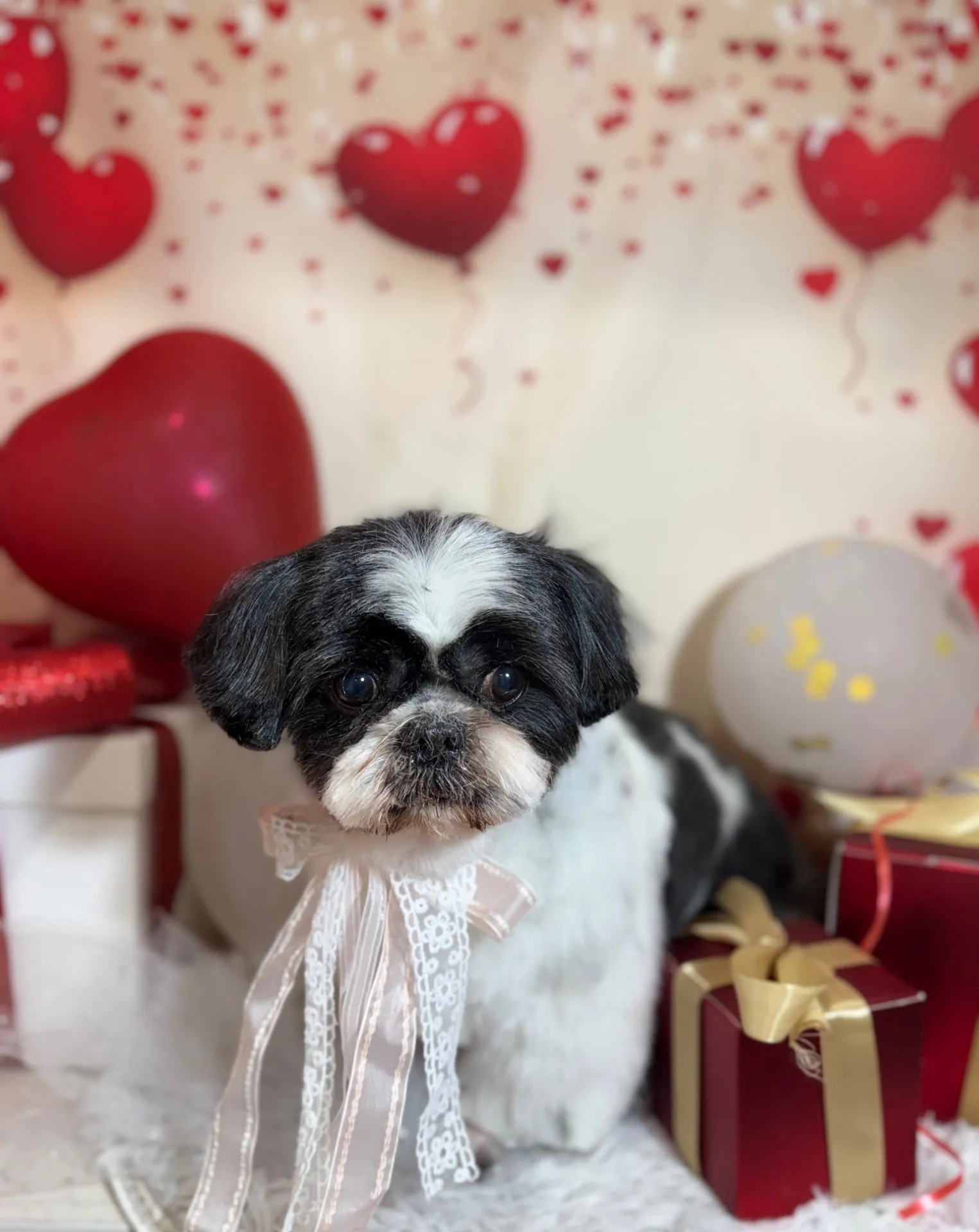 アイノスケくん