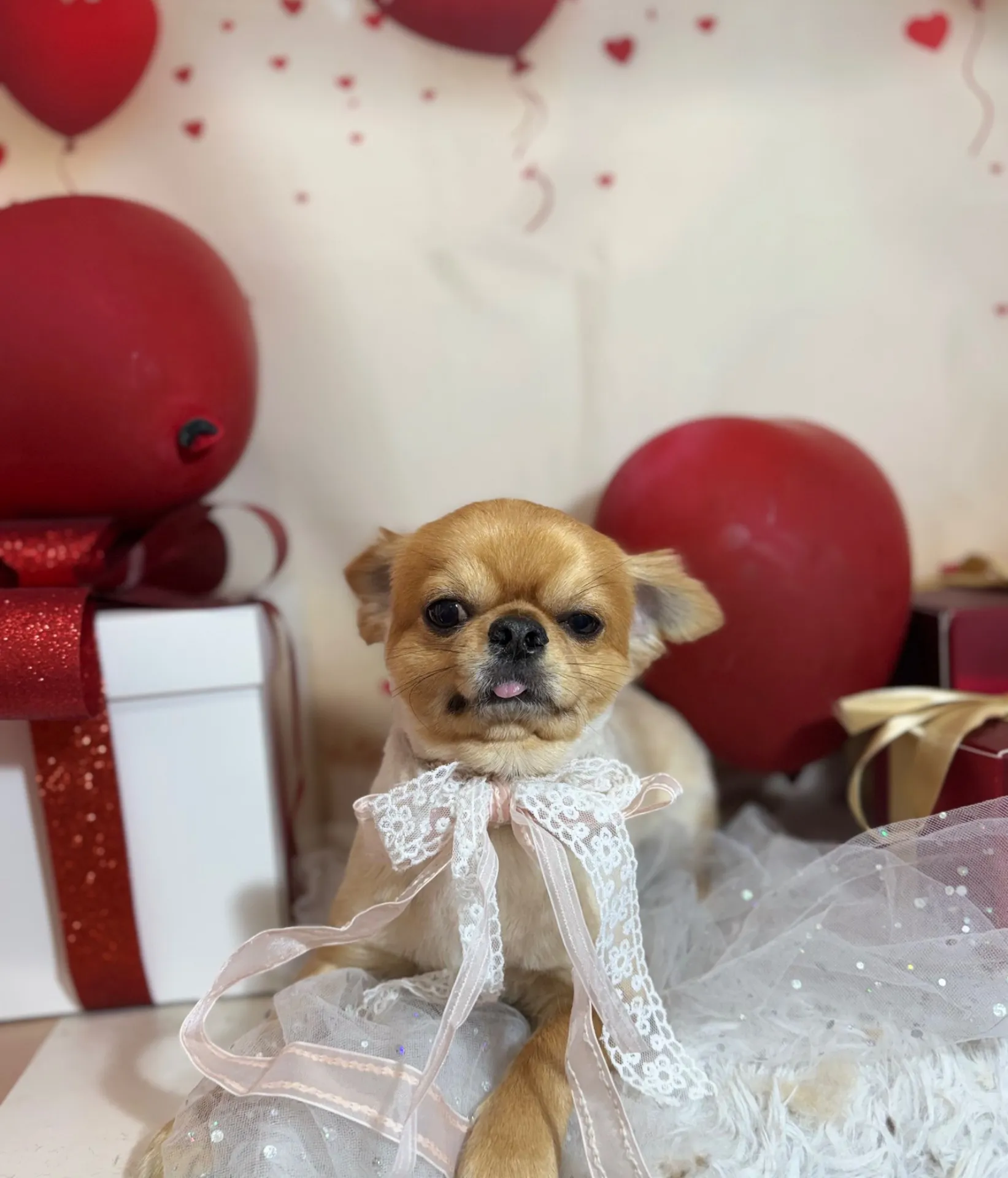 ウシワカマルくん