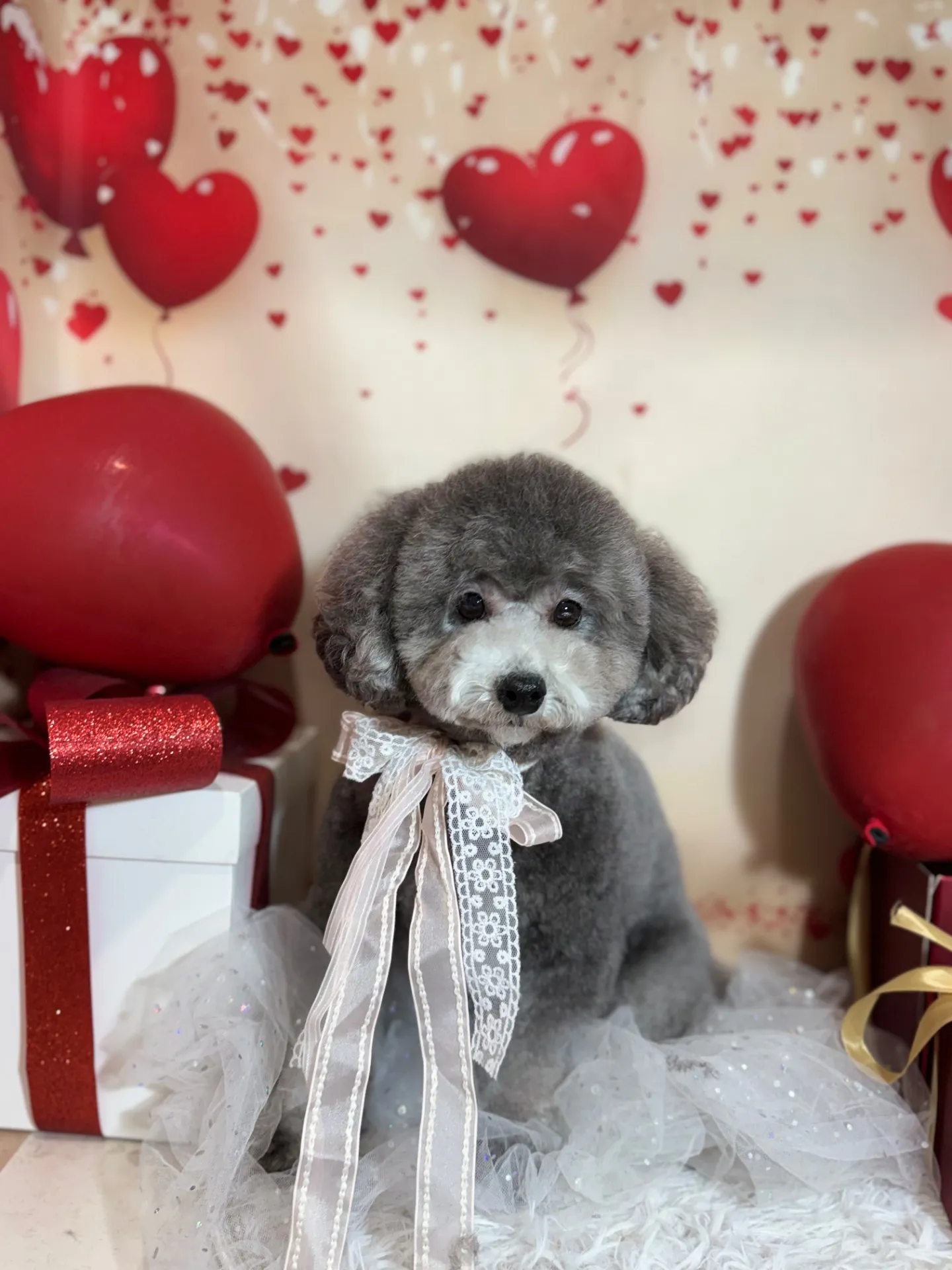 ギンナンちゃん