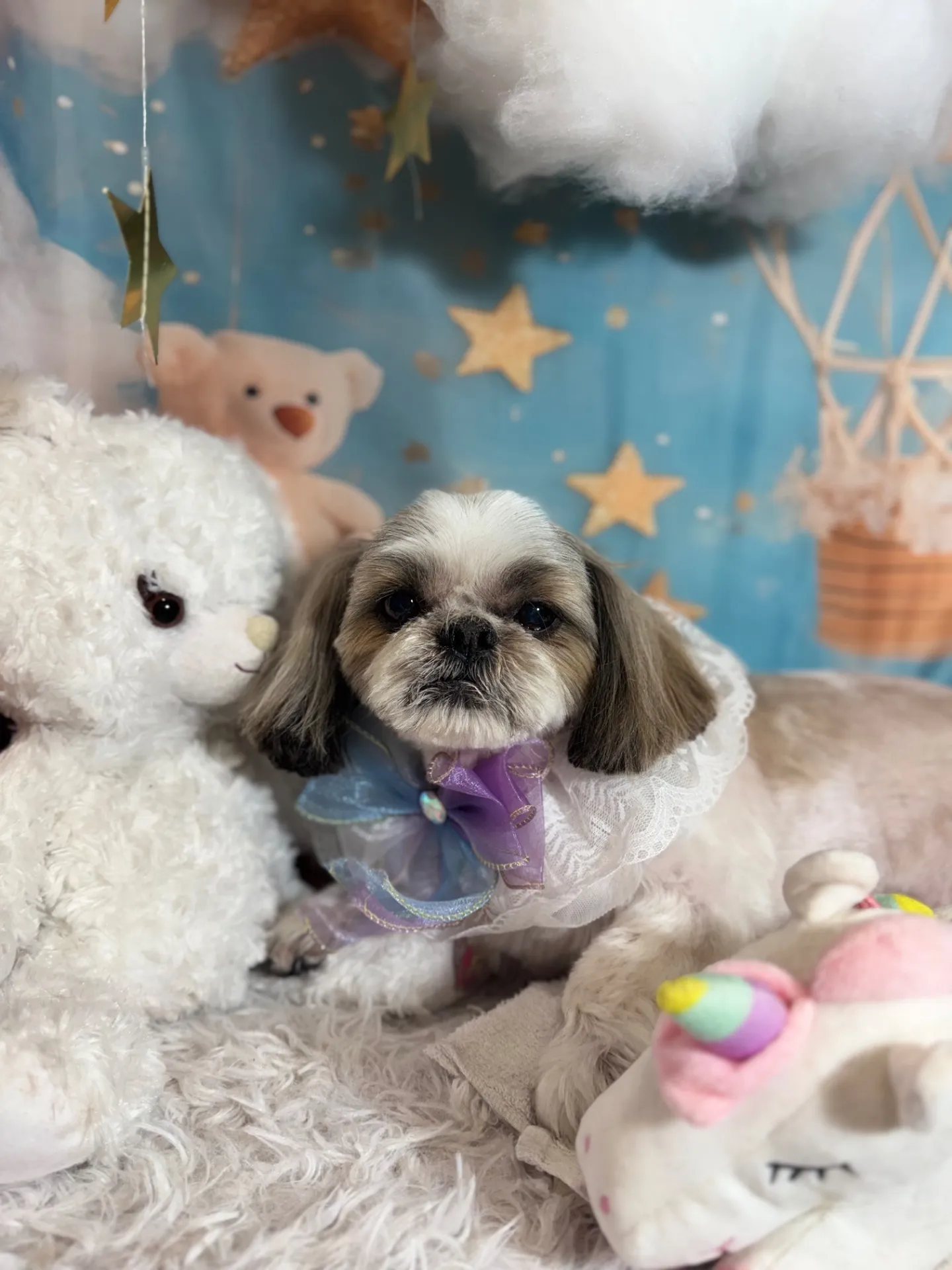 モモタロウくん