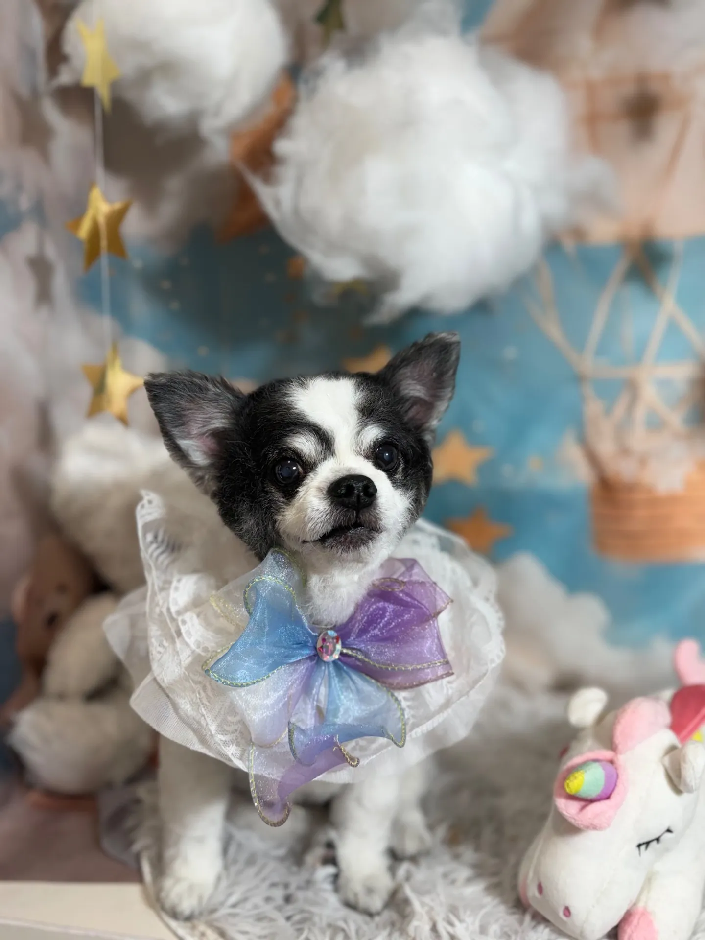 モコタロウくん