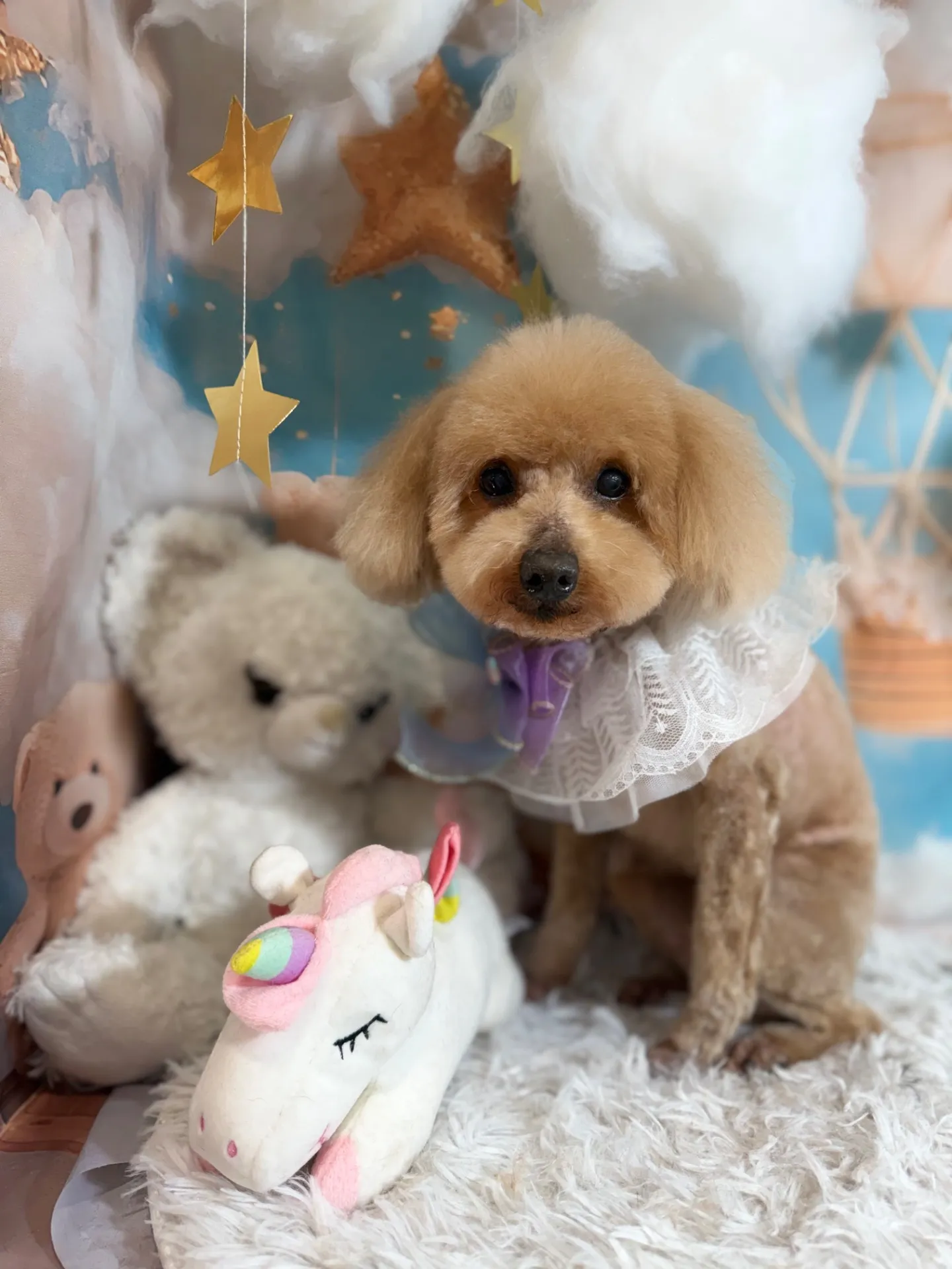 ハッピーちゃん