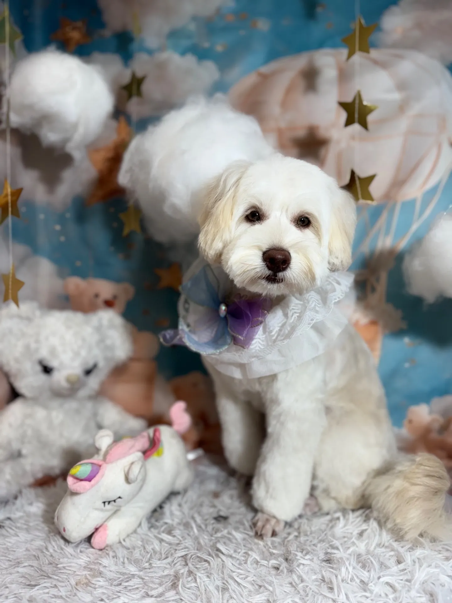 ヴィットーリアちゃん