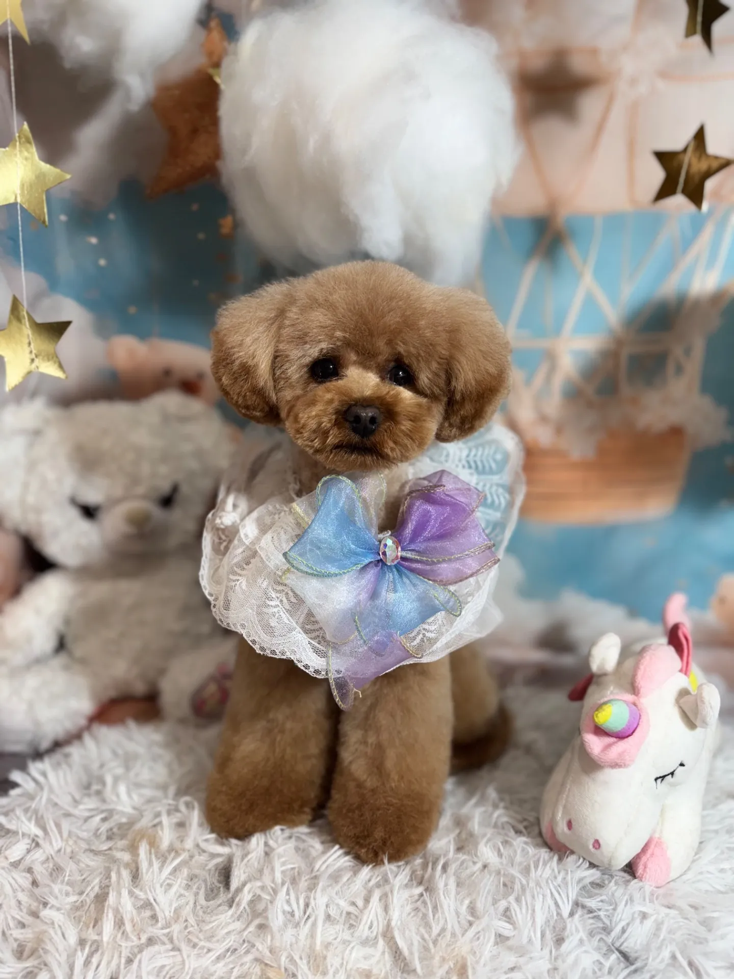 チャチャマルくん