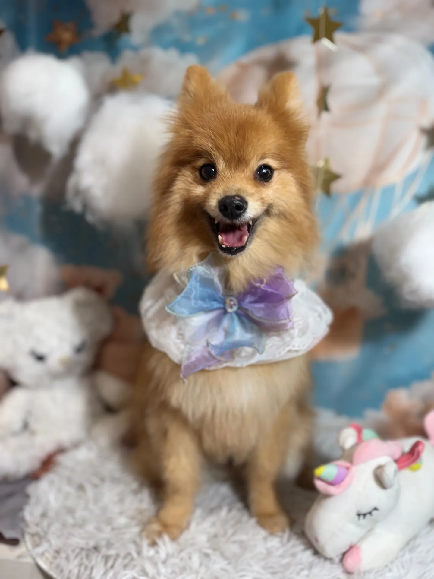 チャチャちゃん