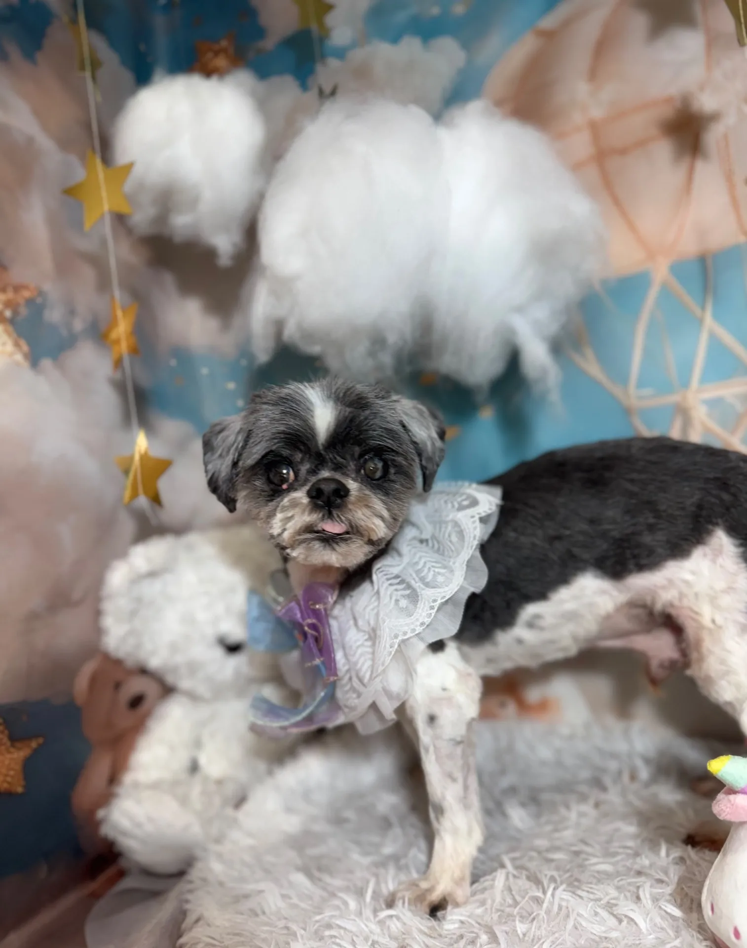 リュウセイくん