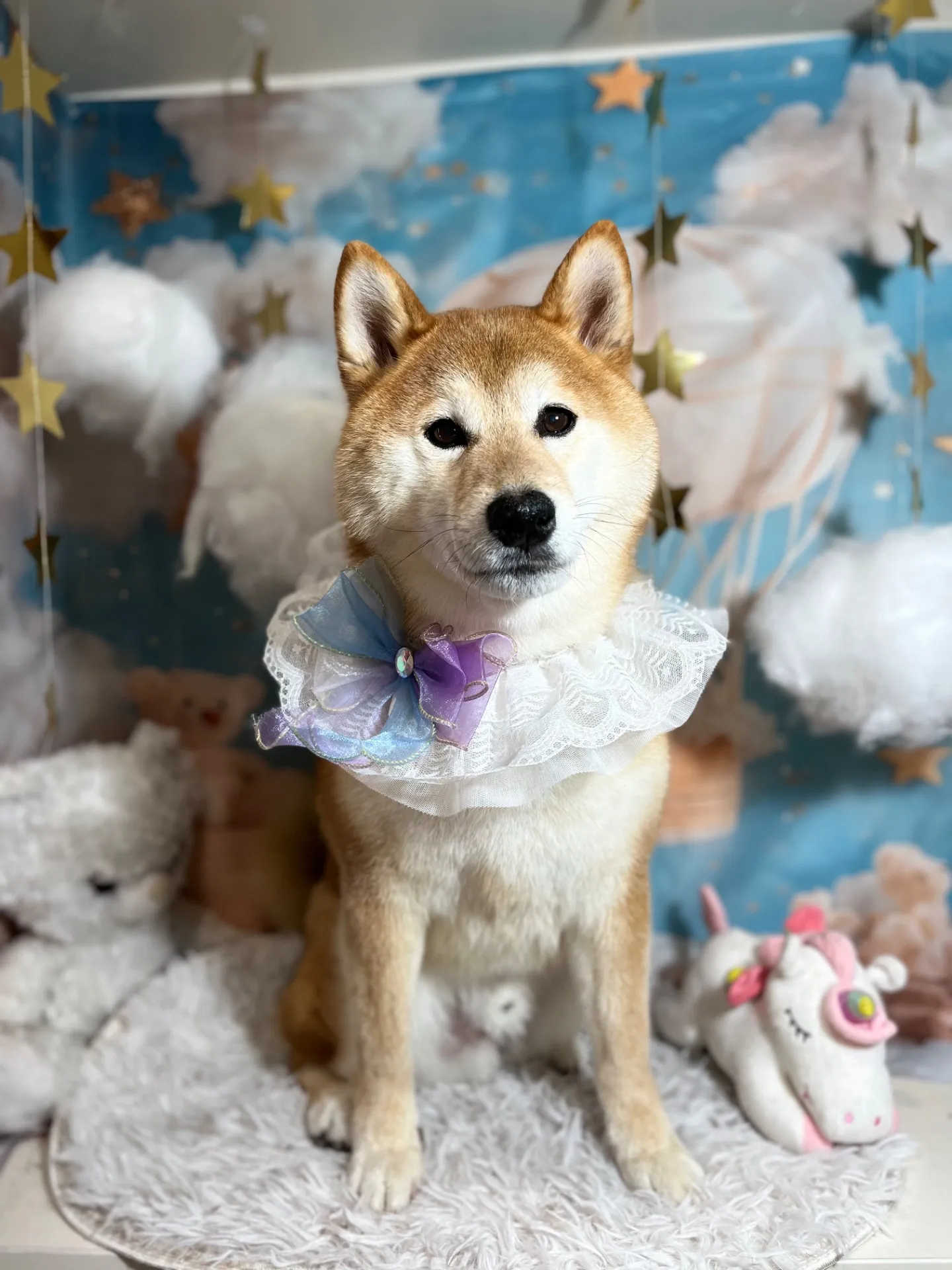 クンクンちゃん