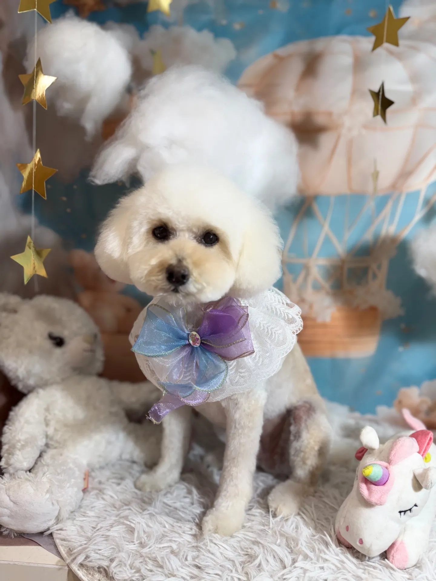 シナモンちゃん