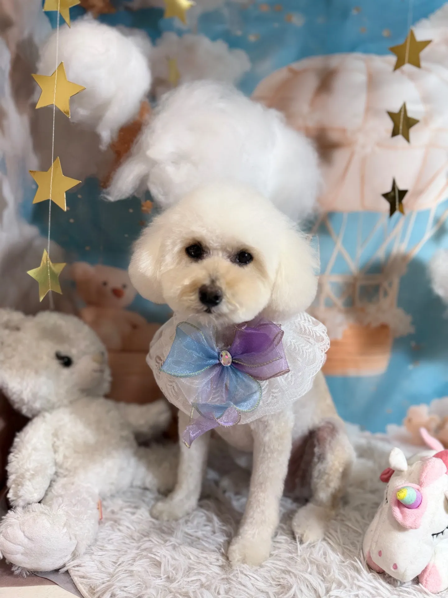 シナモンちゃん