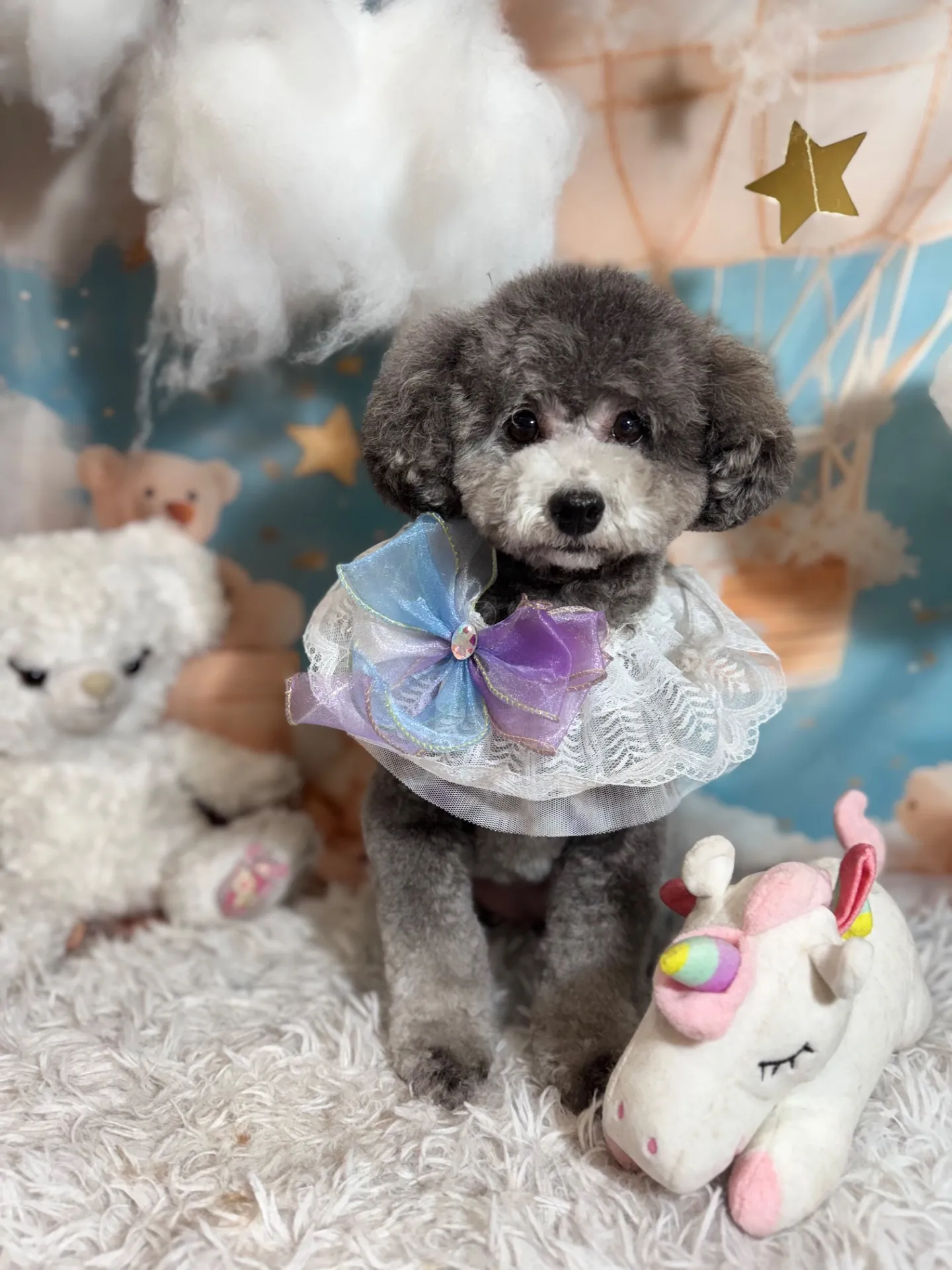 ギンナンちゃん