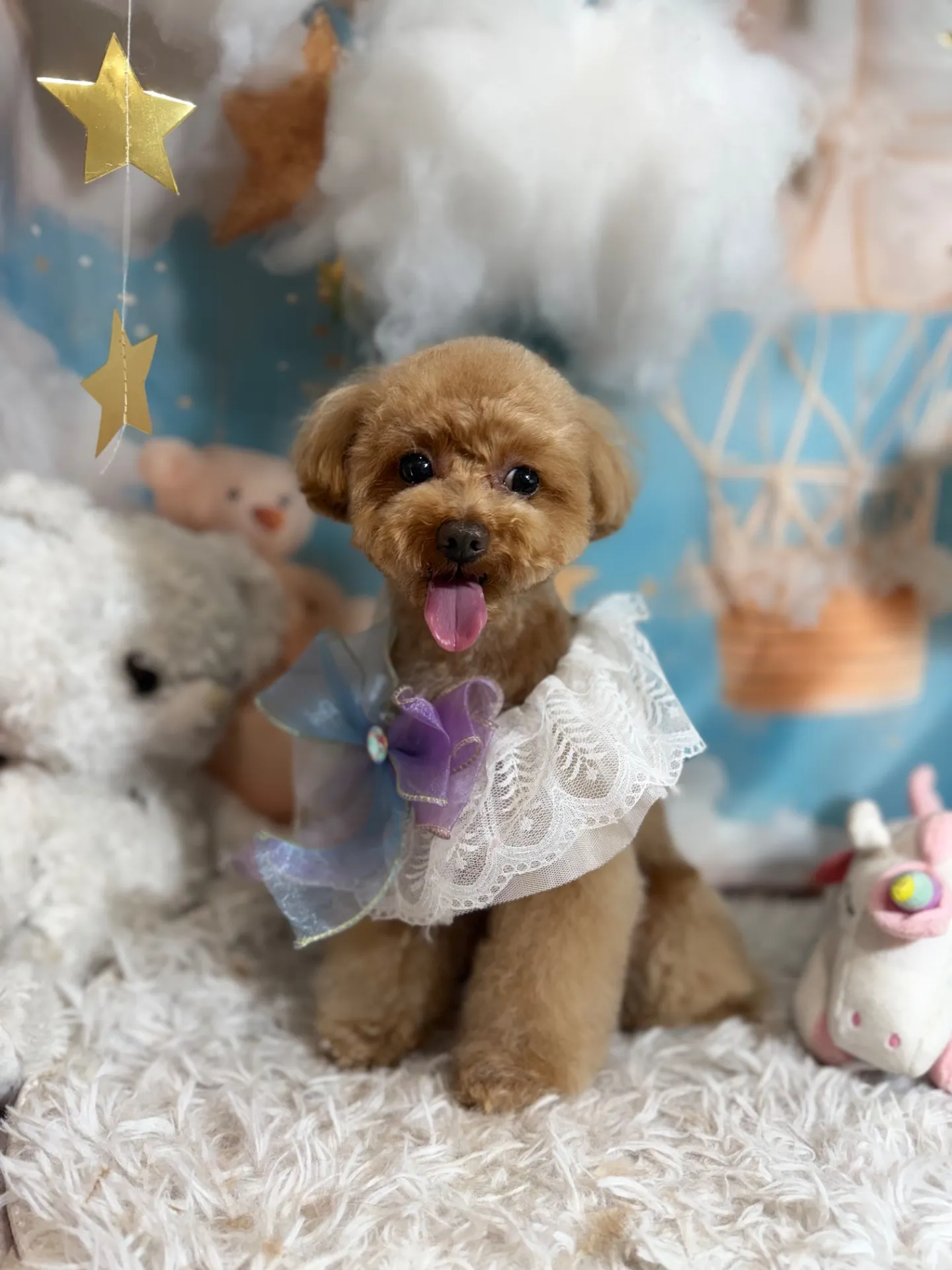 ビジューちゃん