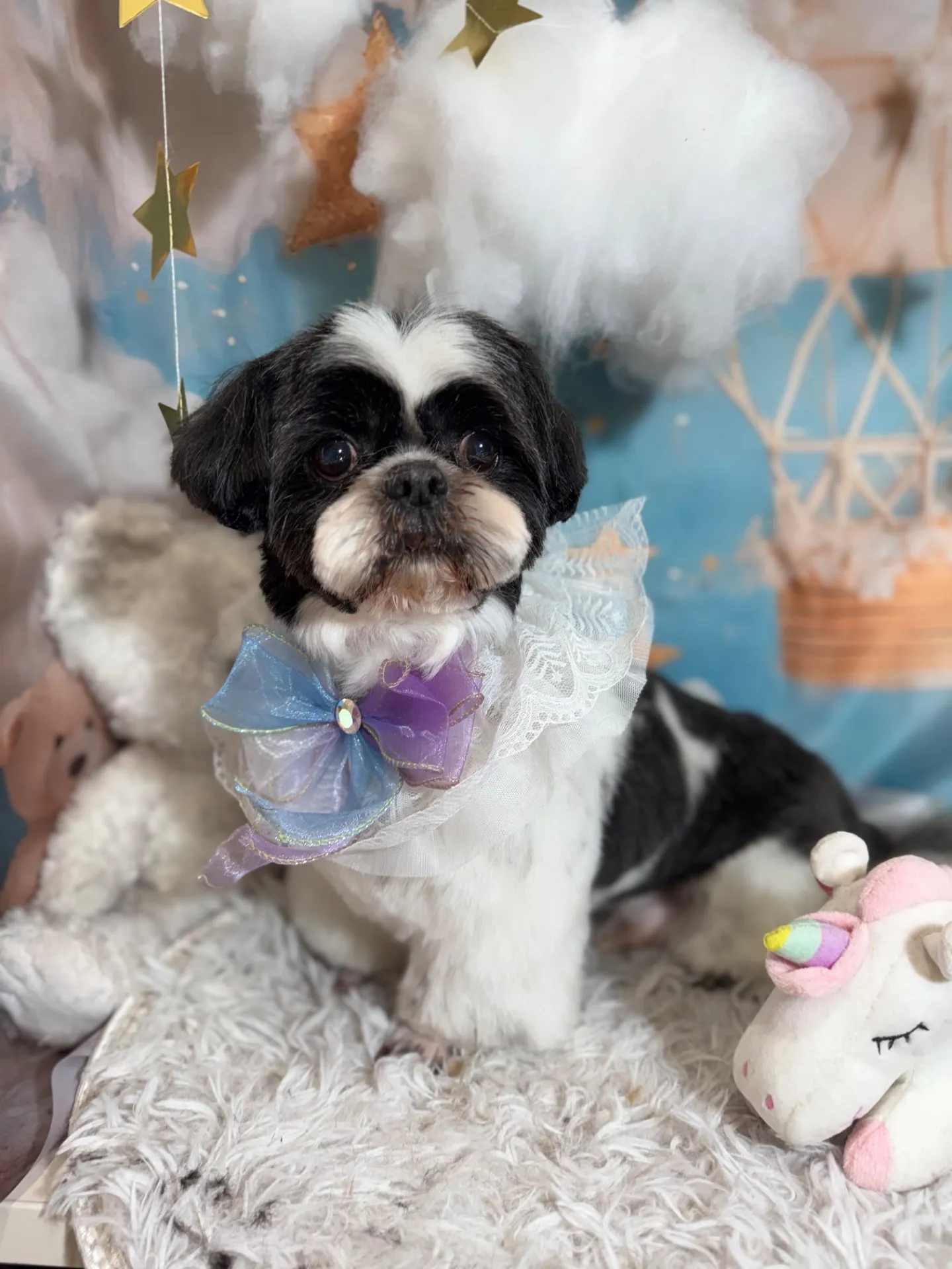 アイノスケくん