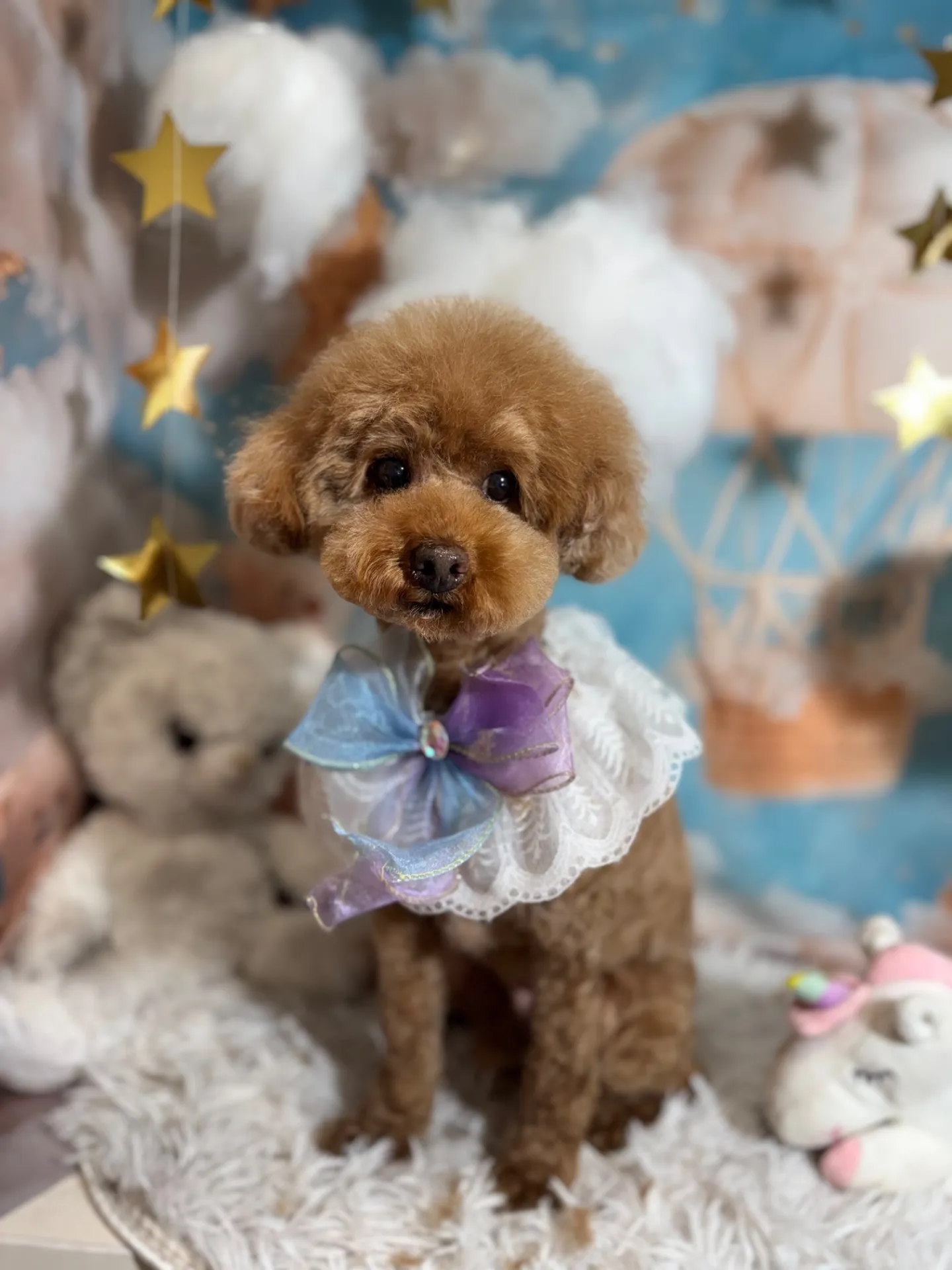 チャッピーちゃん