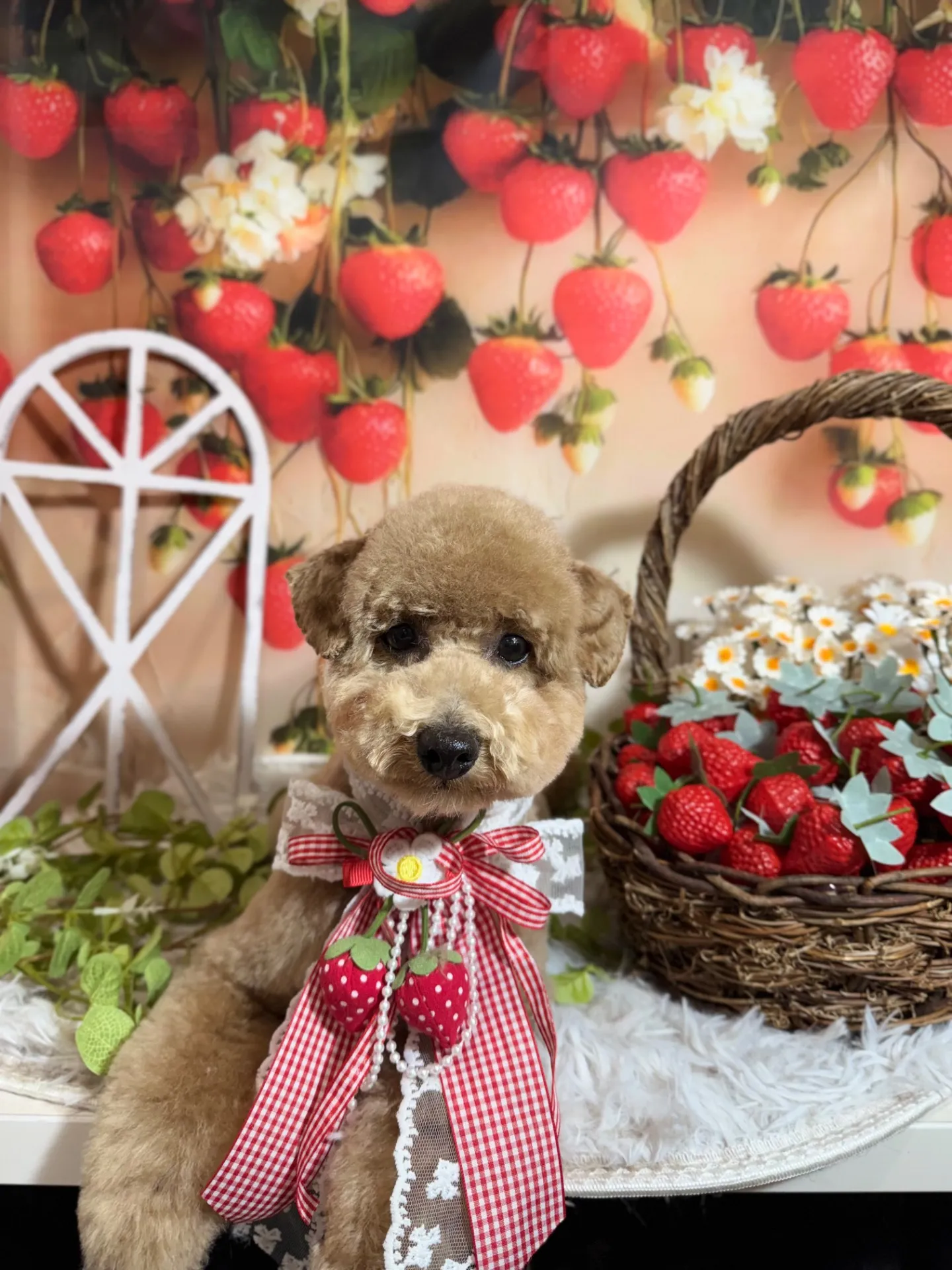 ポテマルちゃん