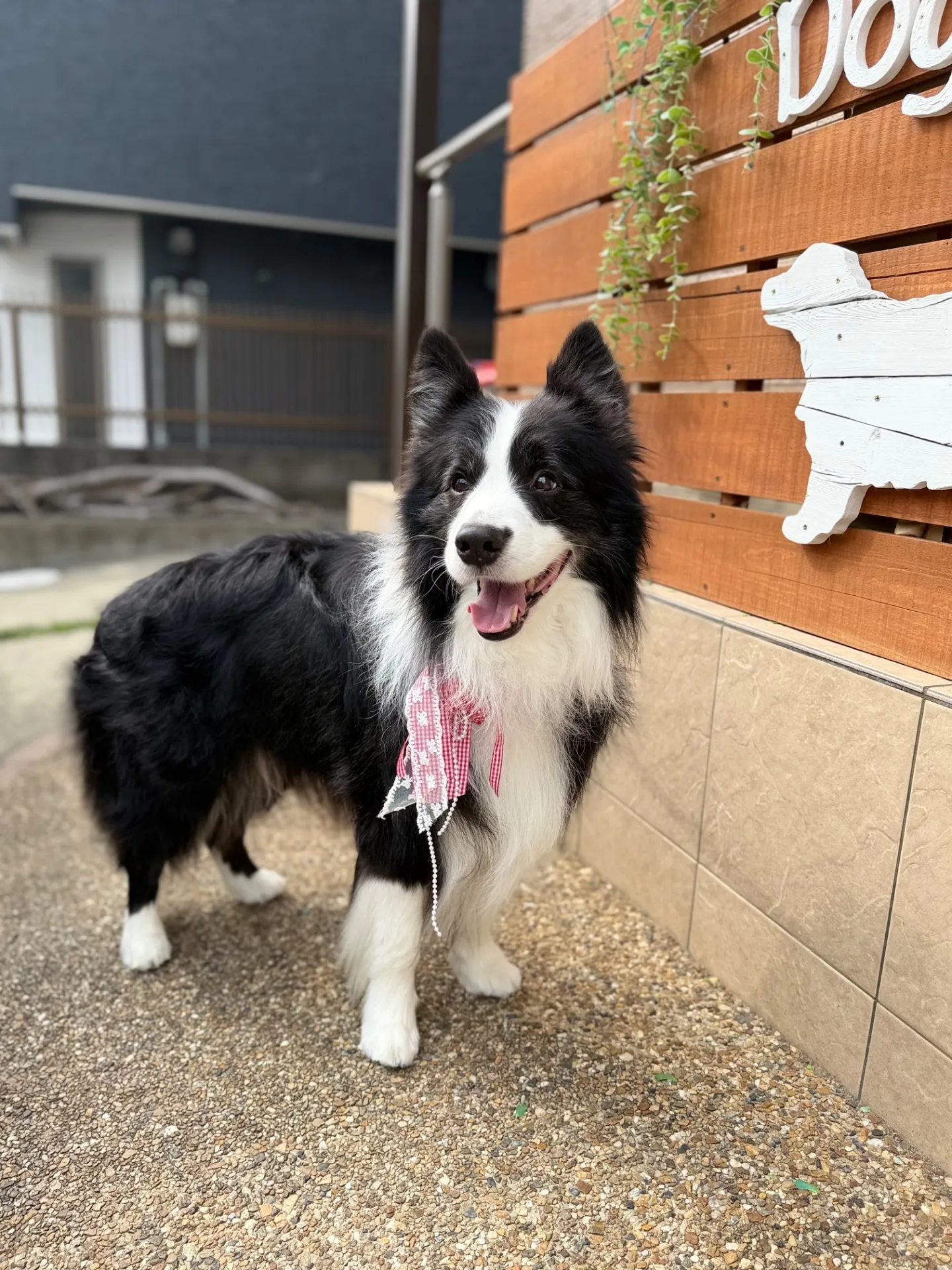 ウォルターくん