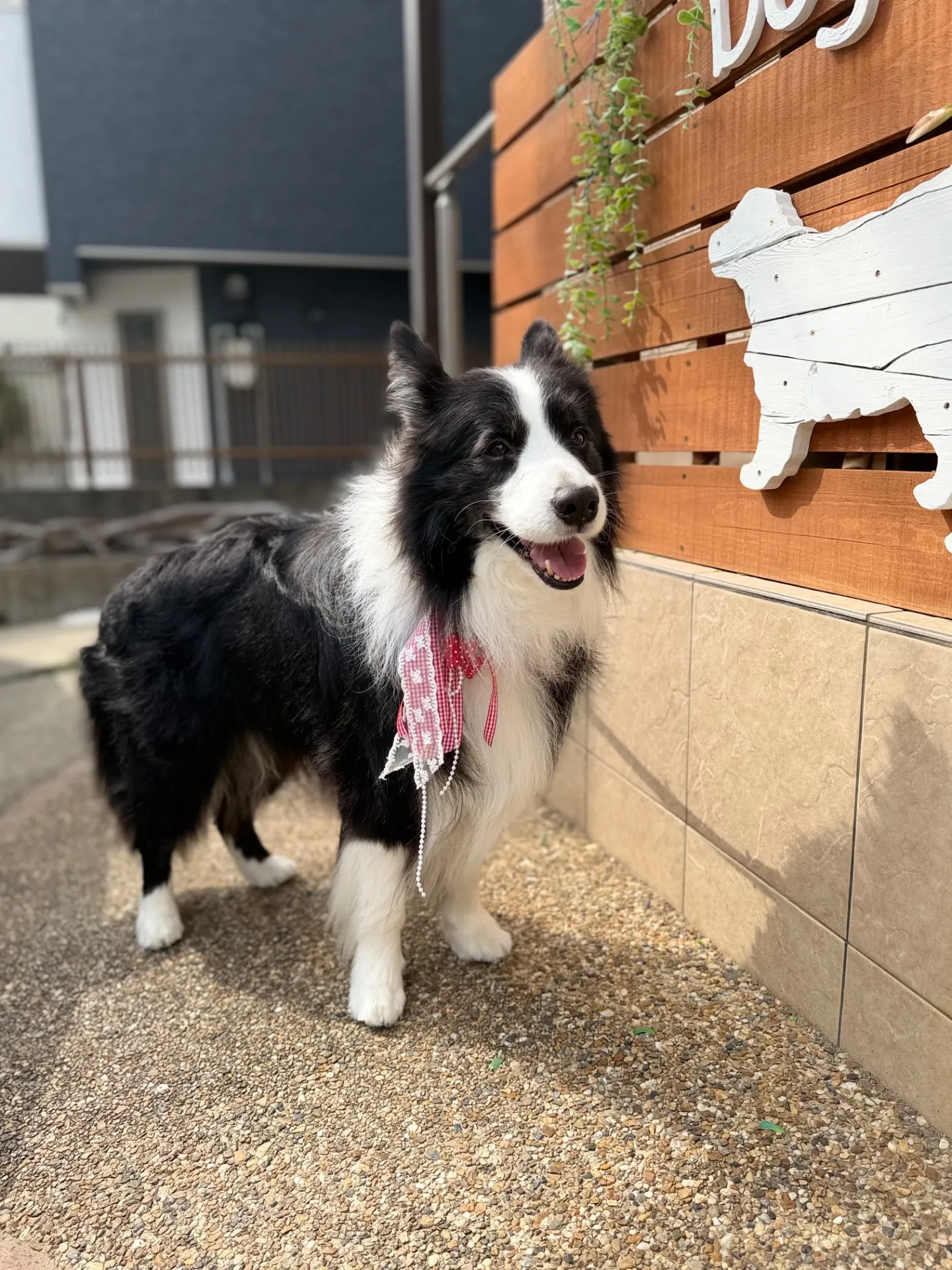 ウォルターくん