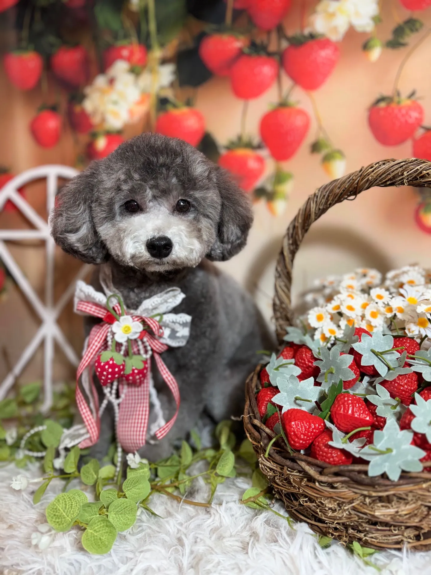 ギンナンちゃん