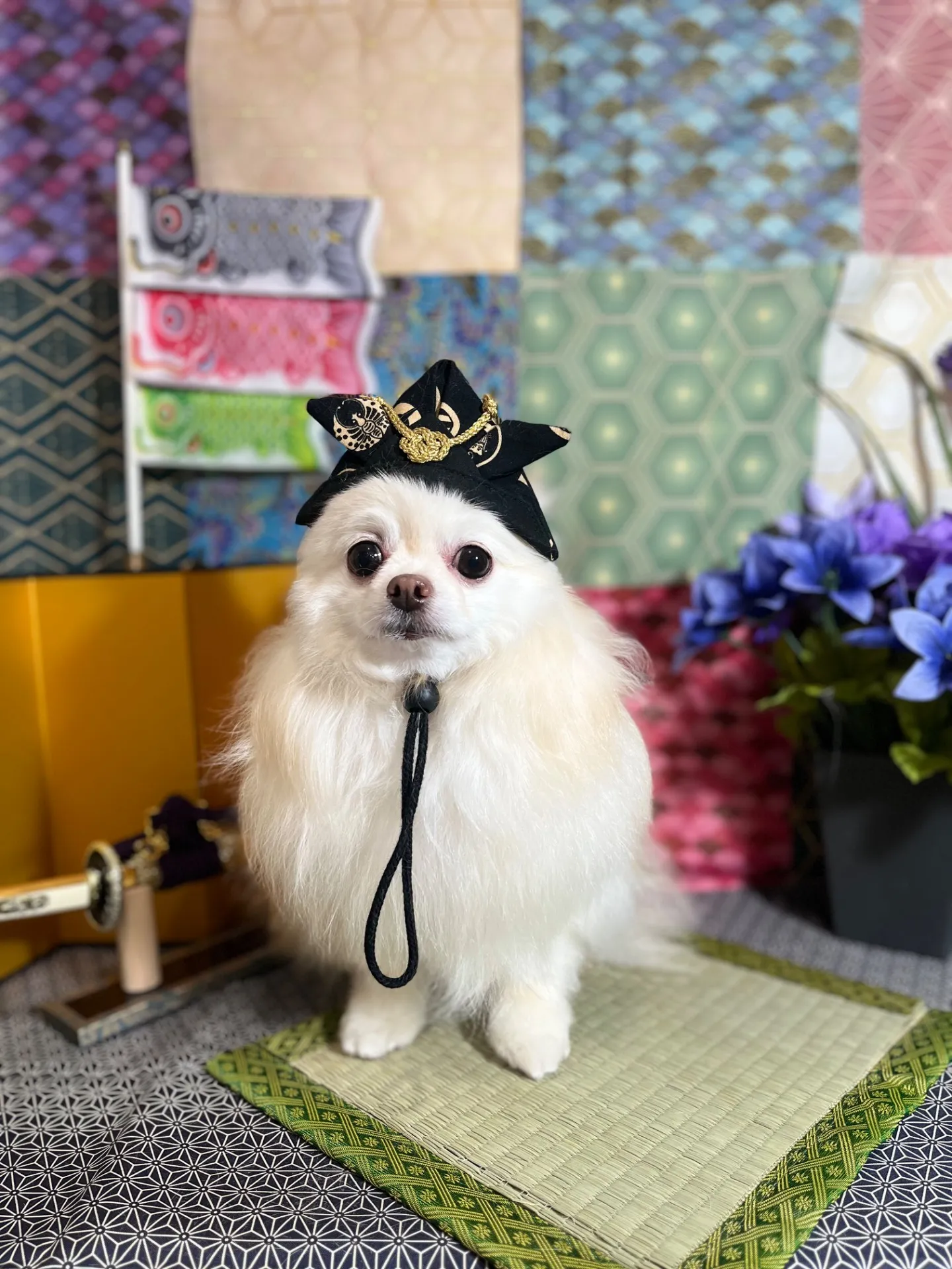 きなこちゃん