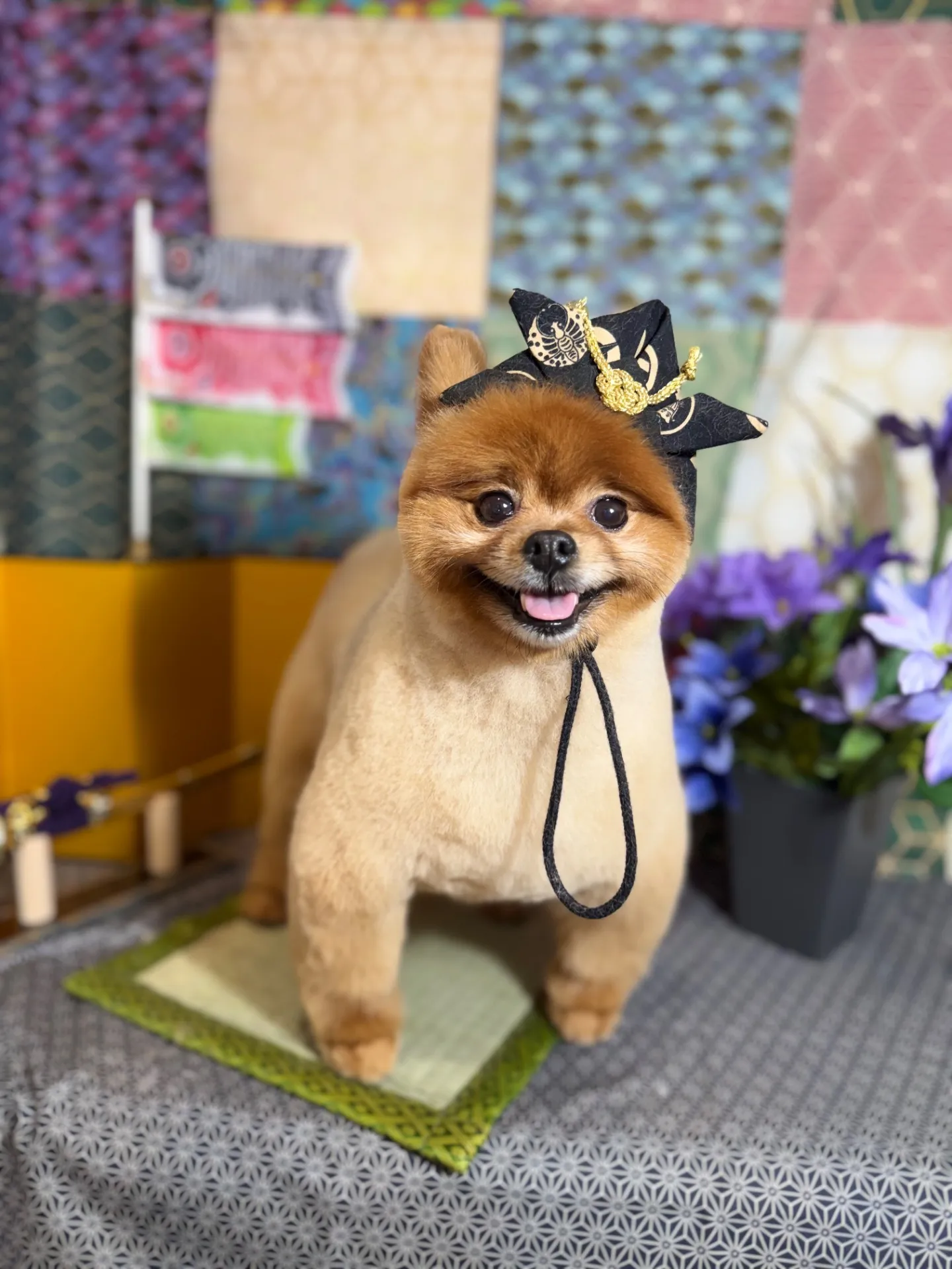 ショコラちゃん