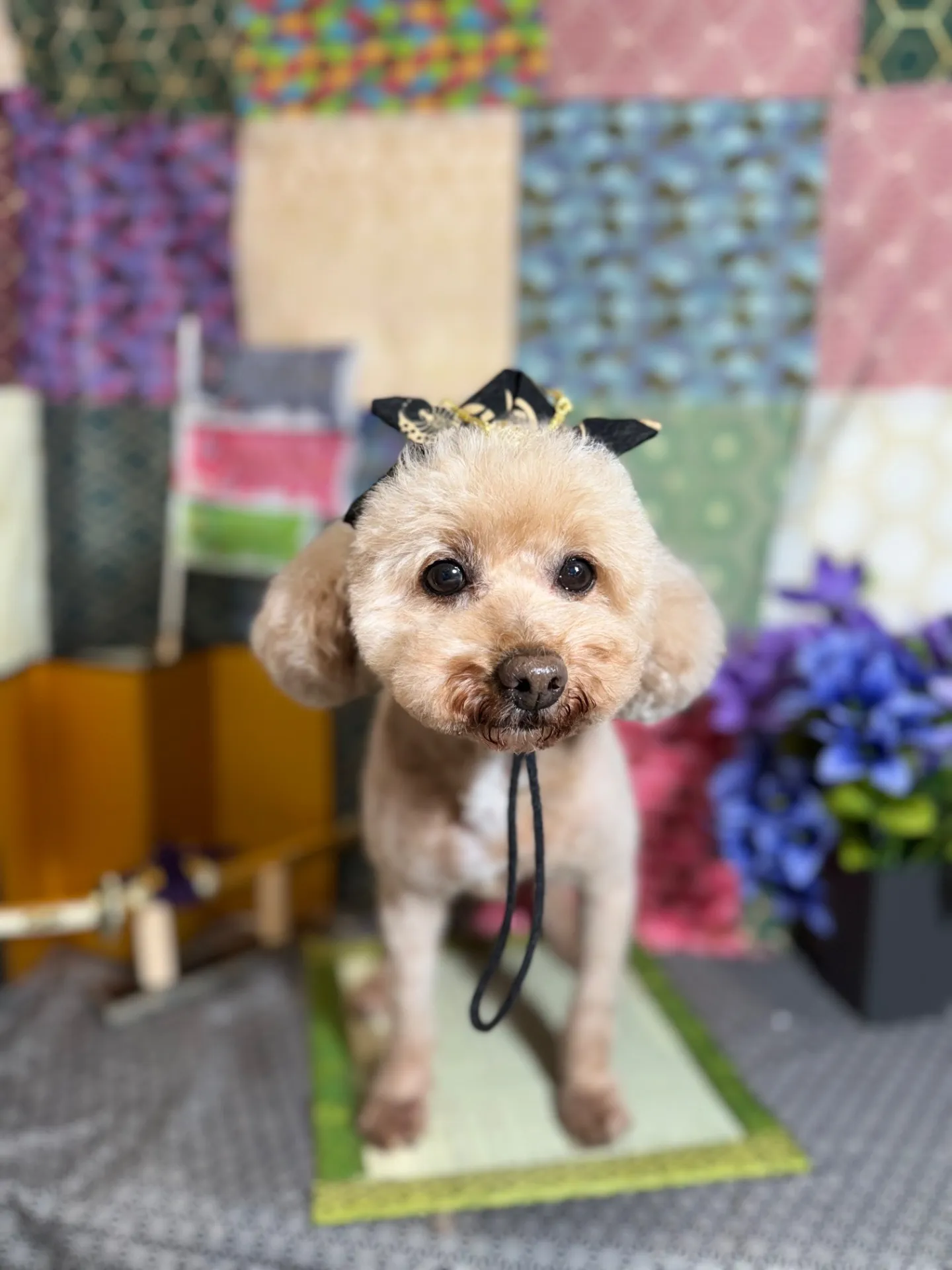 ラスクちゃん