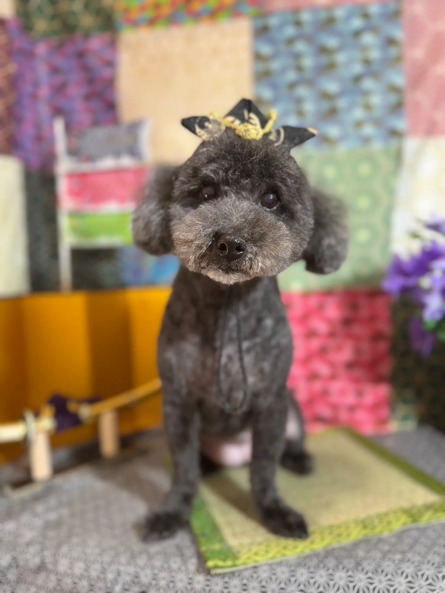 ミリーちゃん