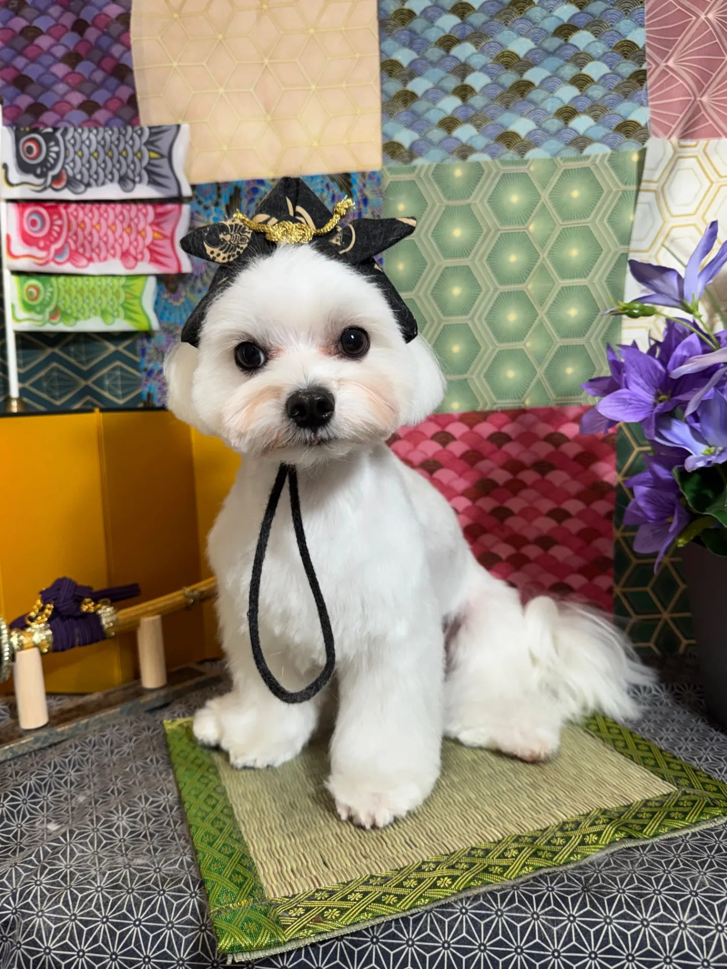 リュウちゃん