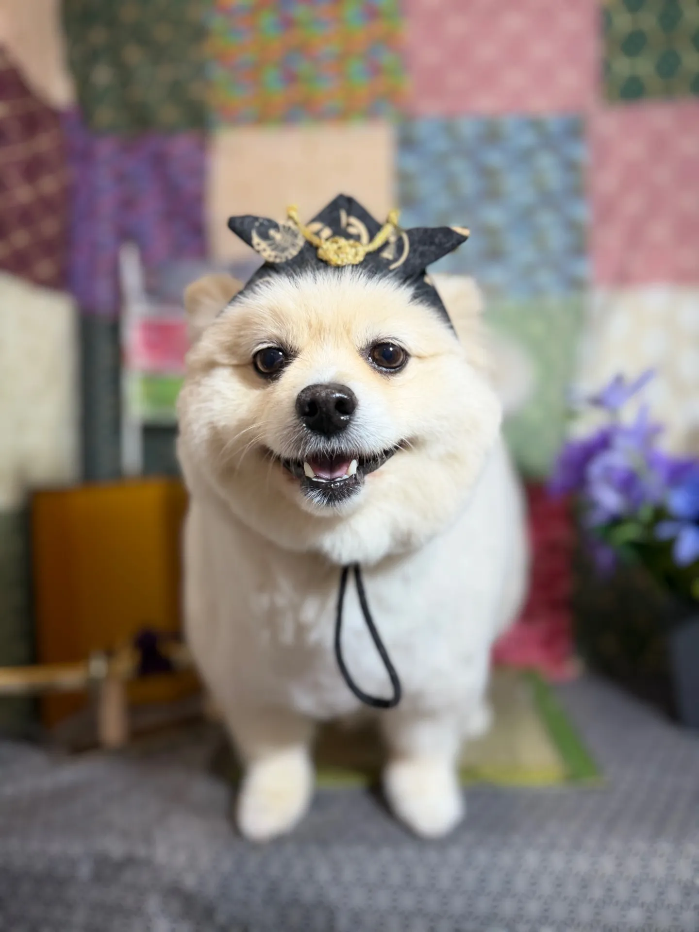 レオくん