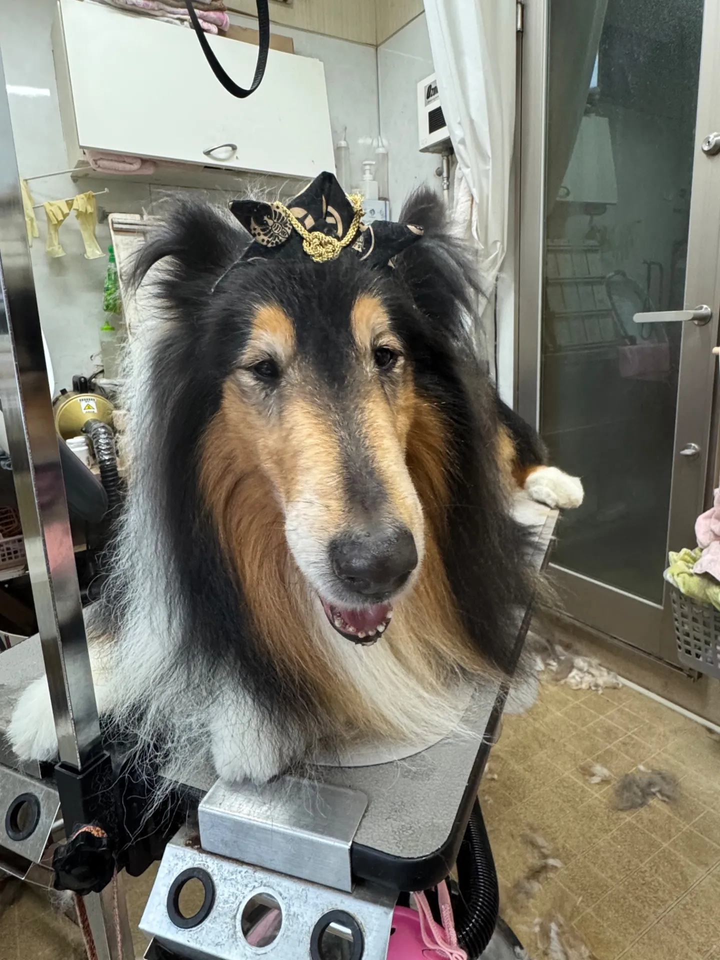 コウくん