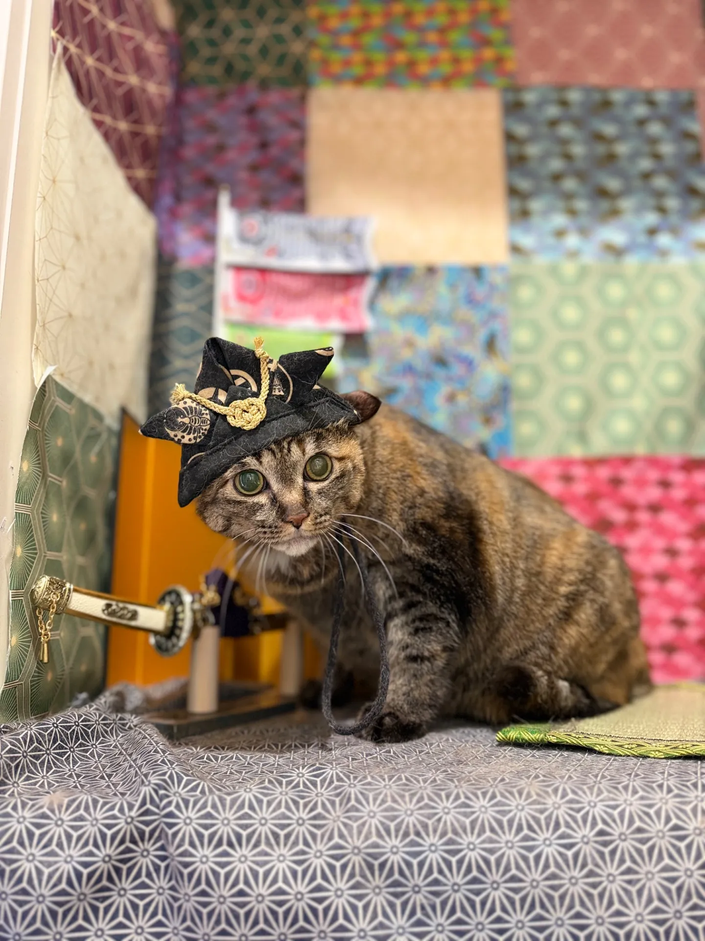 ララちゃん