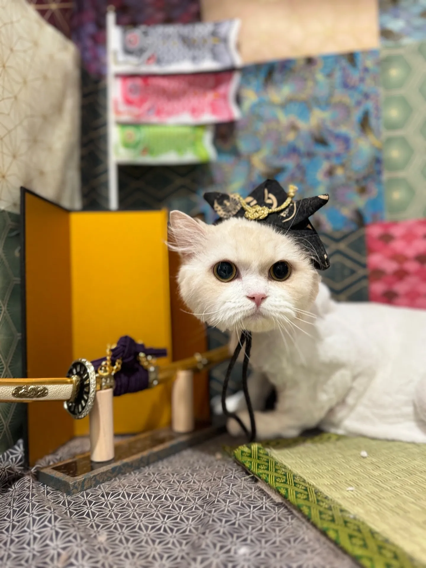 クルミちゃん