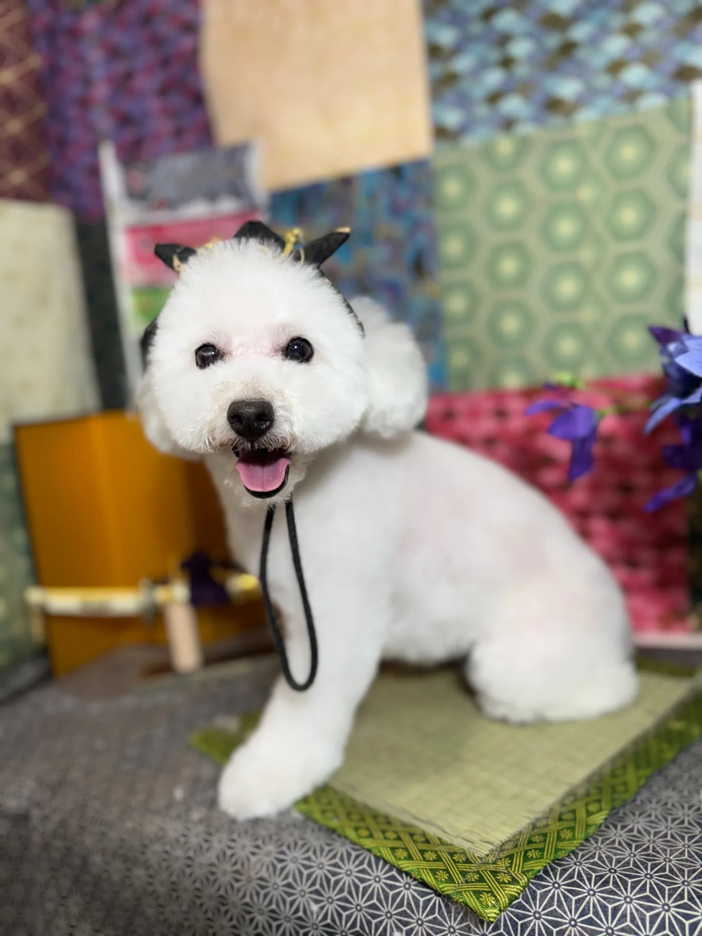 ユズハちゃん