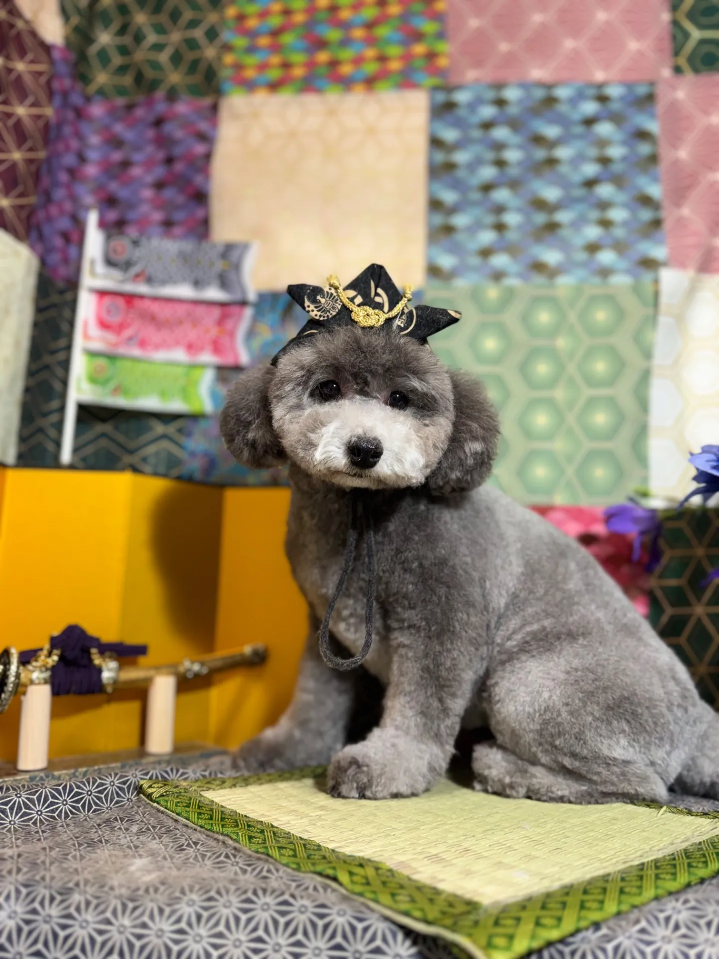 ギンナンちゃん
