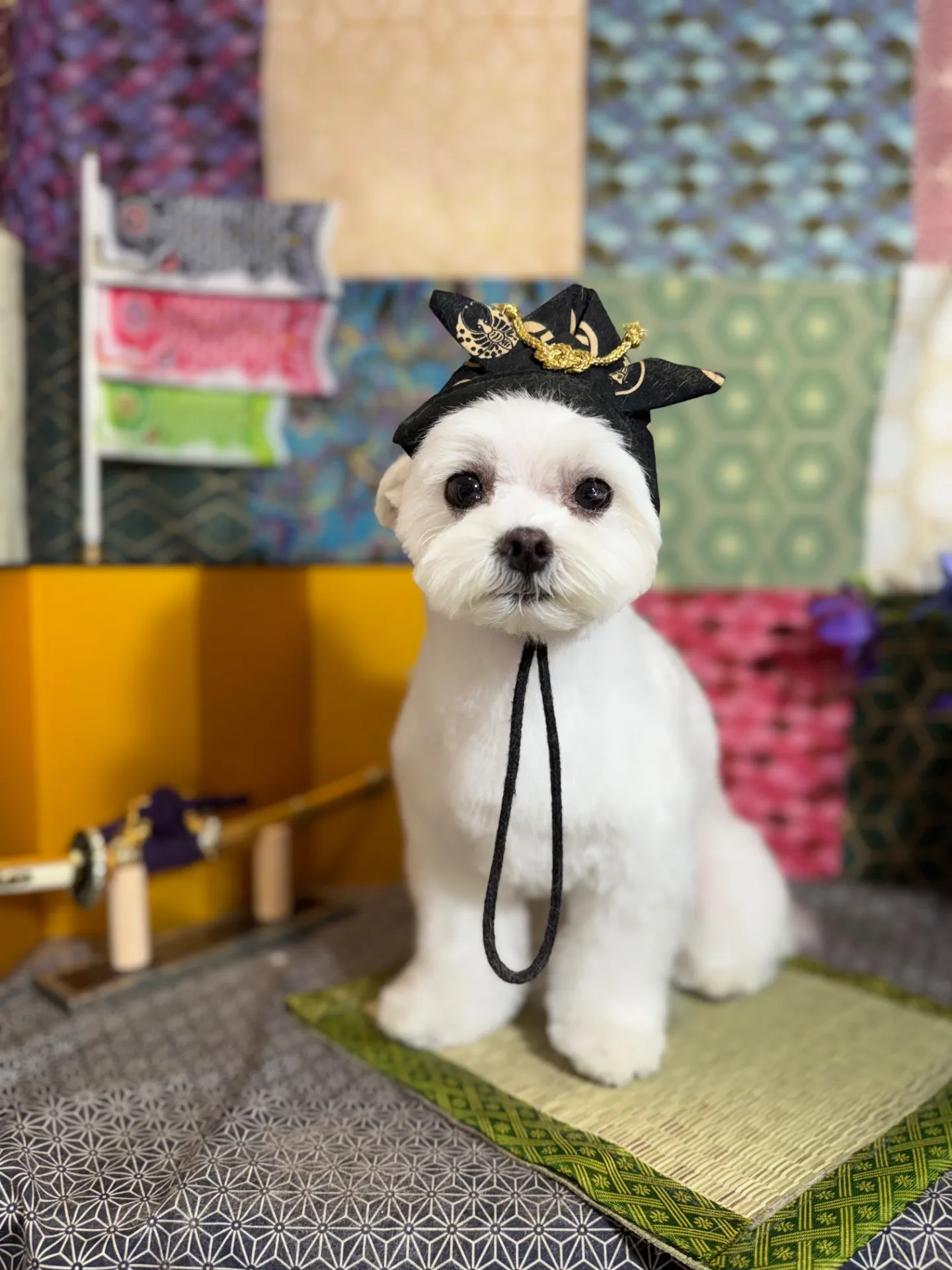 ニコちゃん