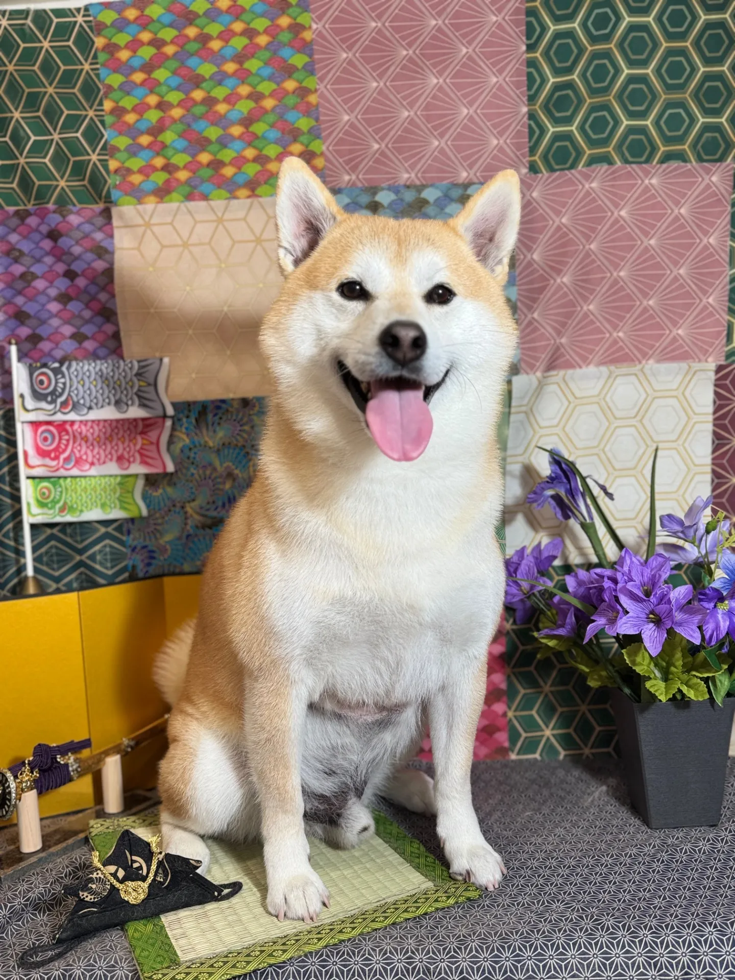 ケンちゃん