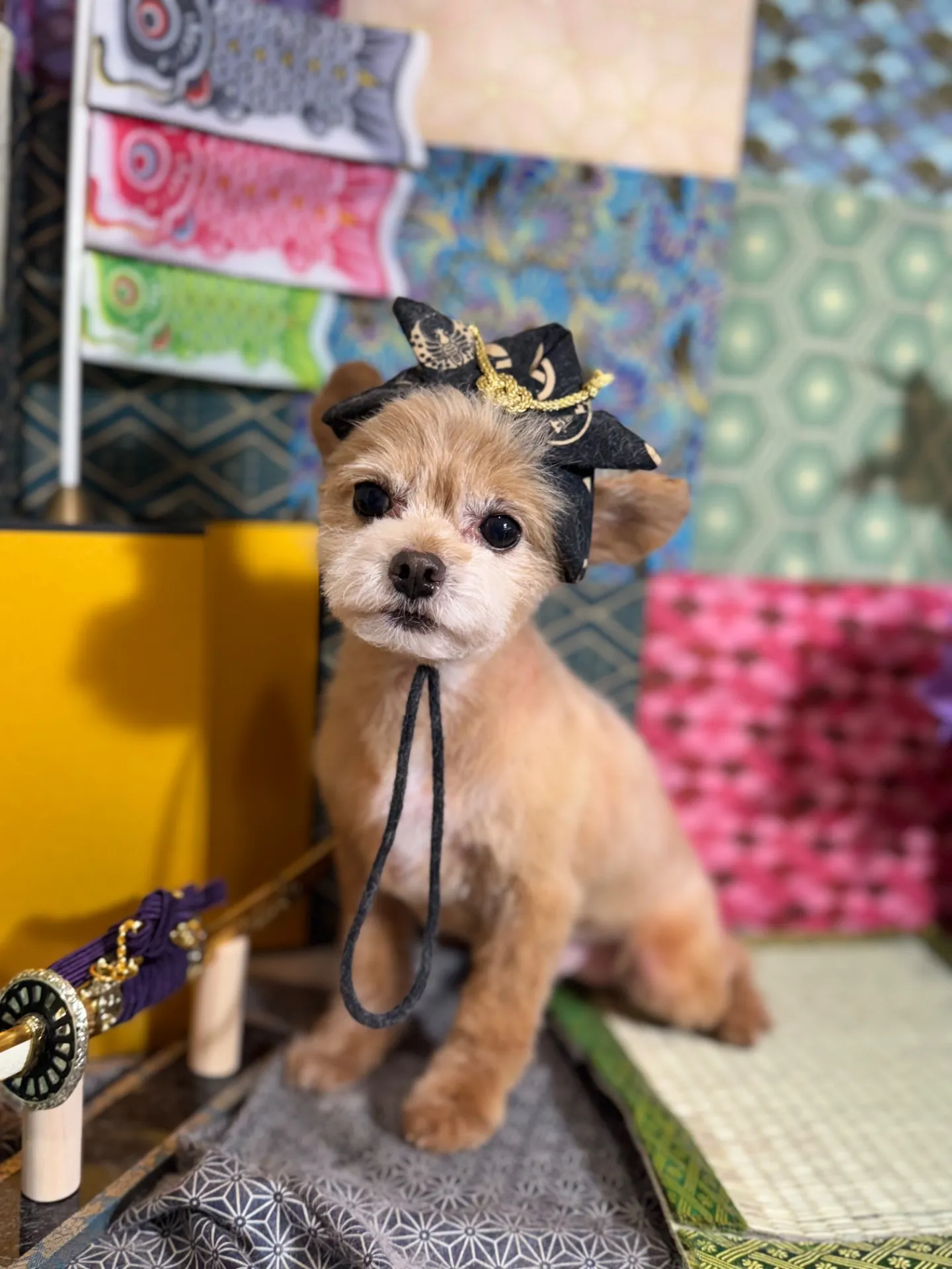 ユウちゃん
