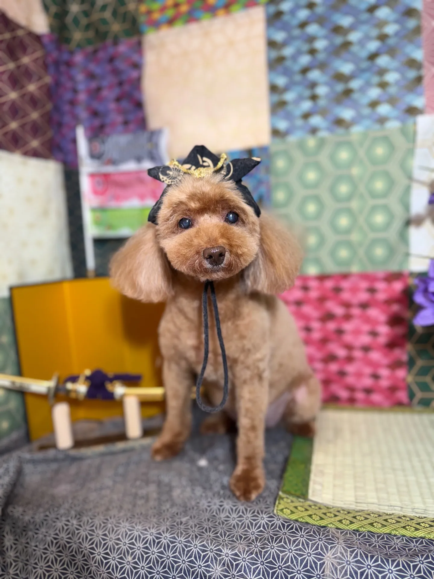 モモちゃん
