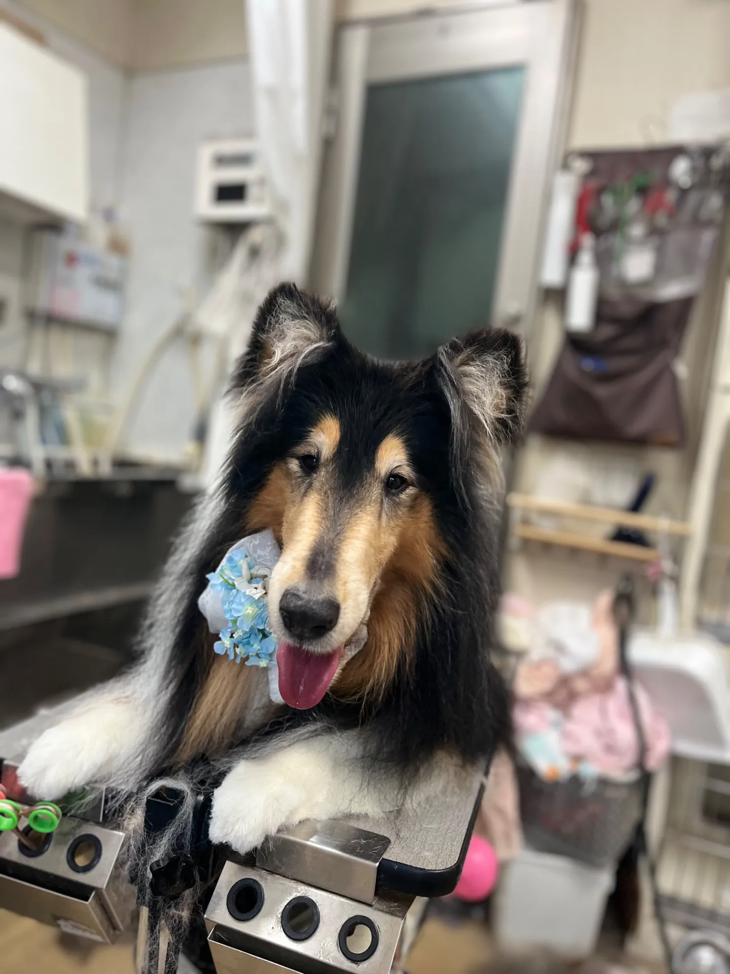コウちゃん