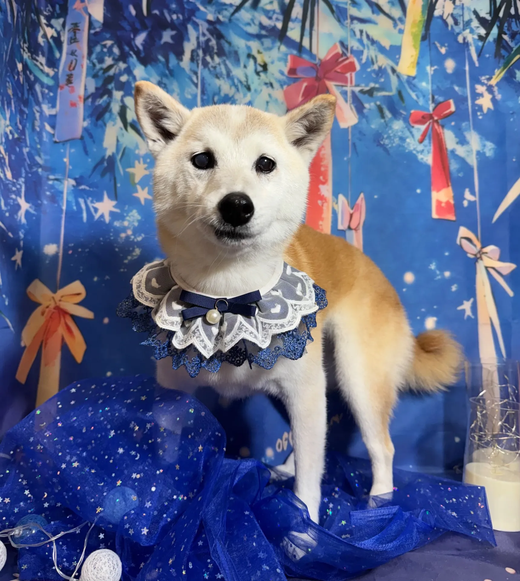 リンちゃん