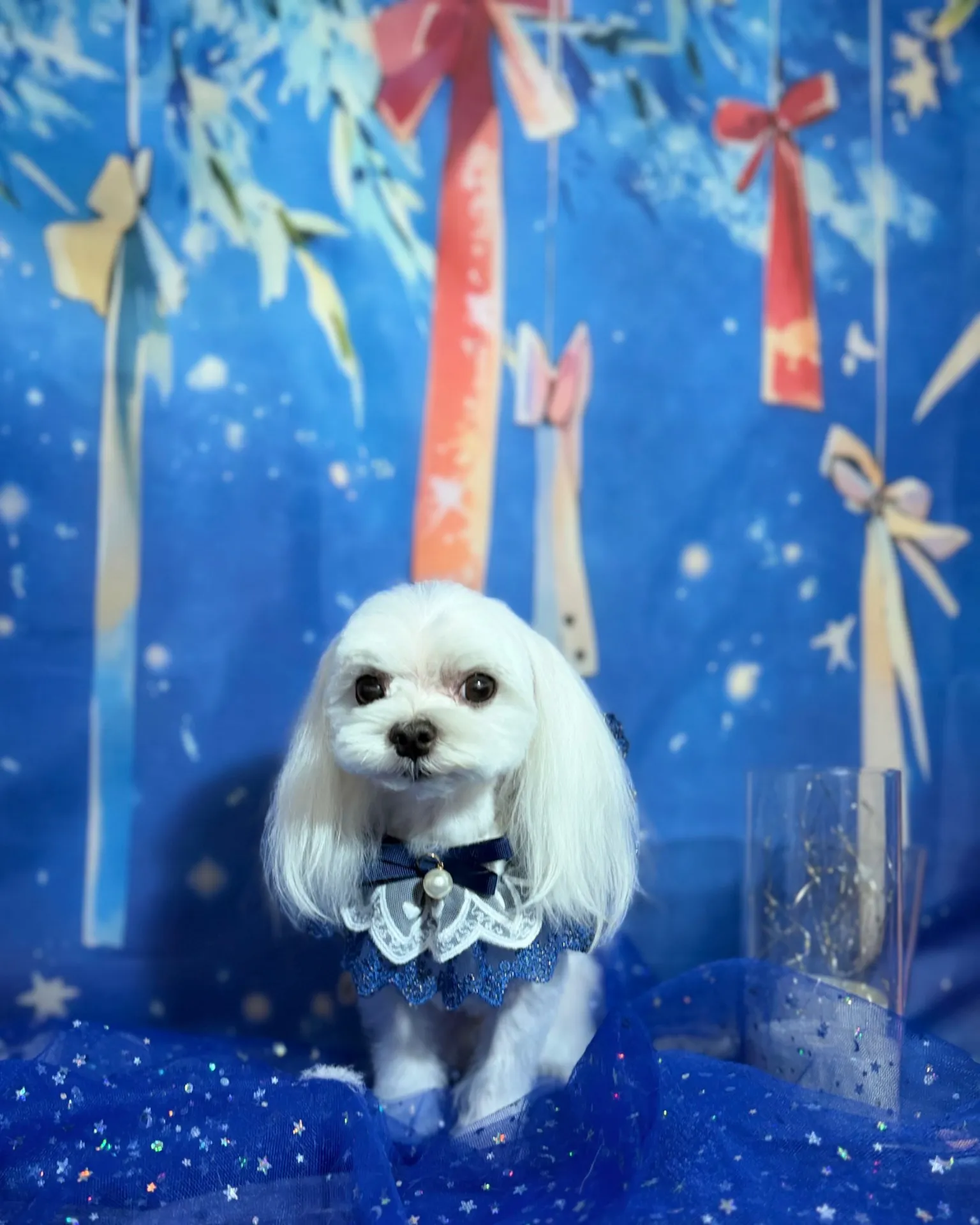 マルジくん