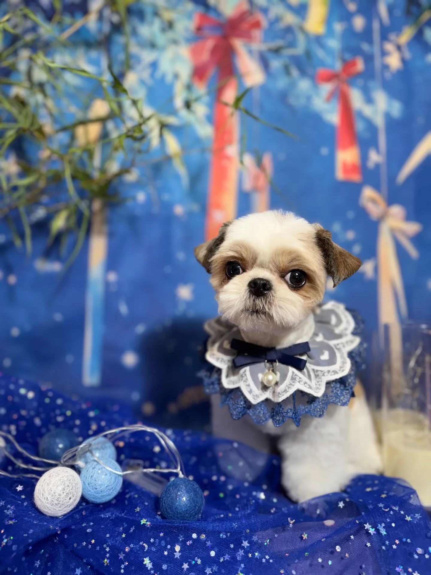 チクワくん