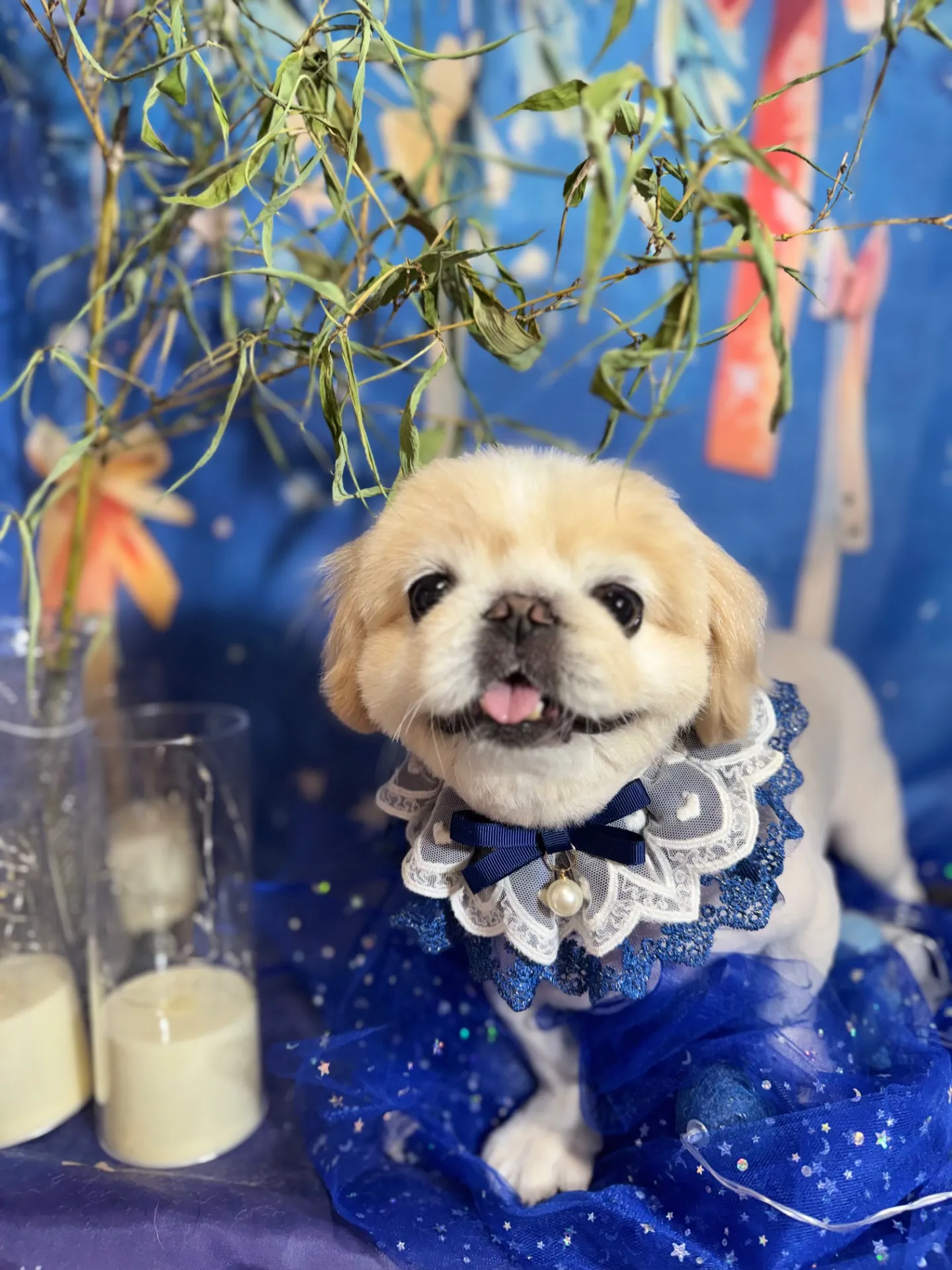ウメちゃん