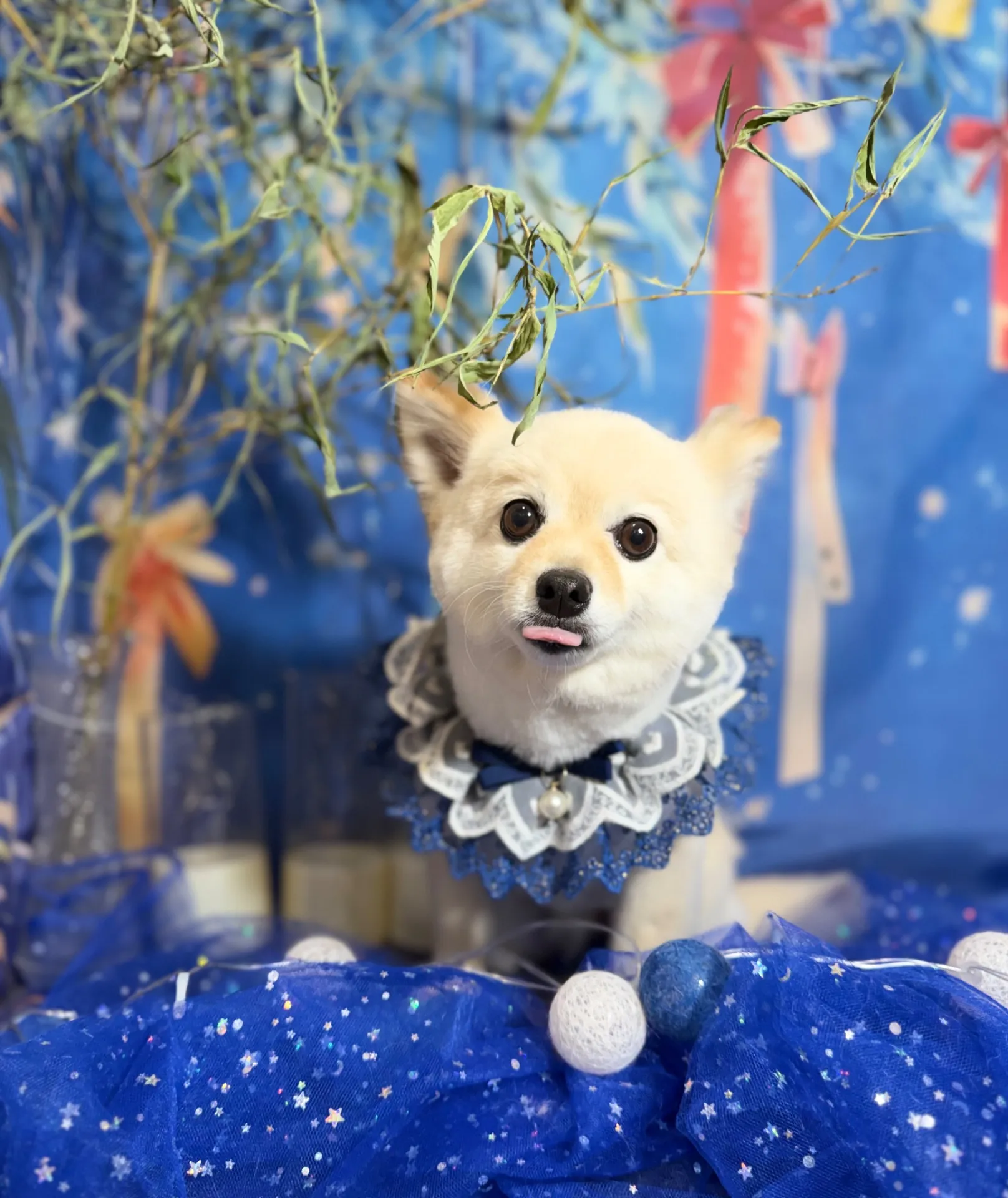 アオちゃん