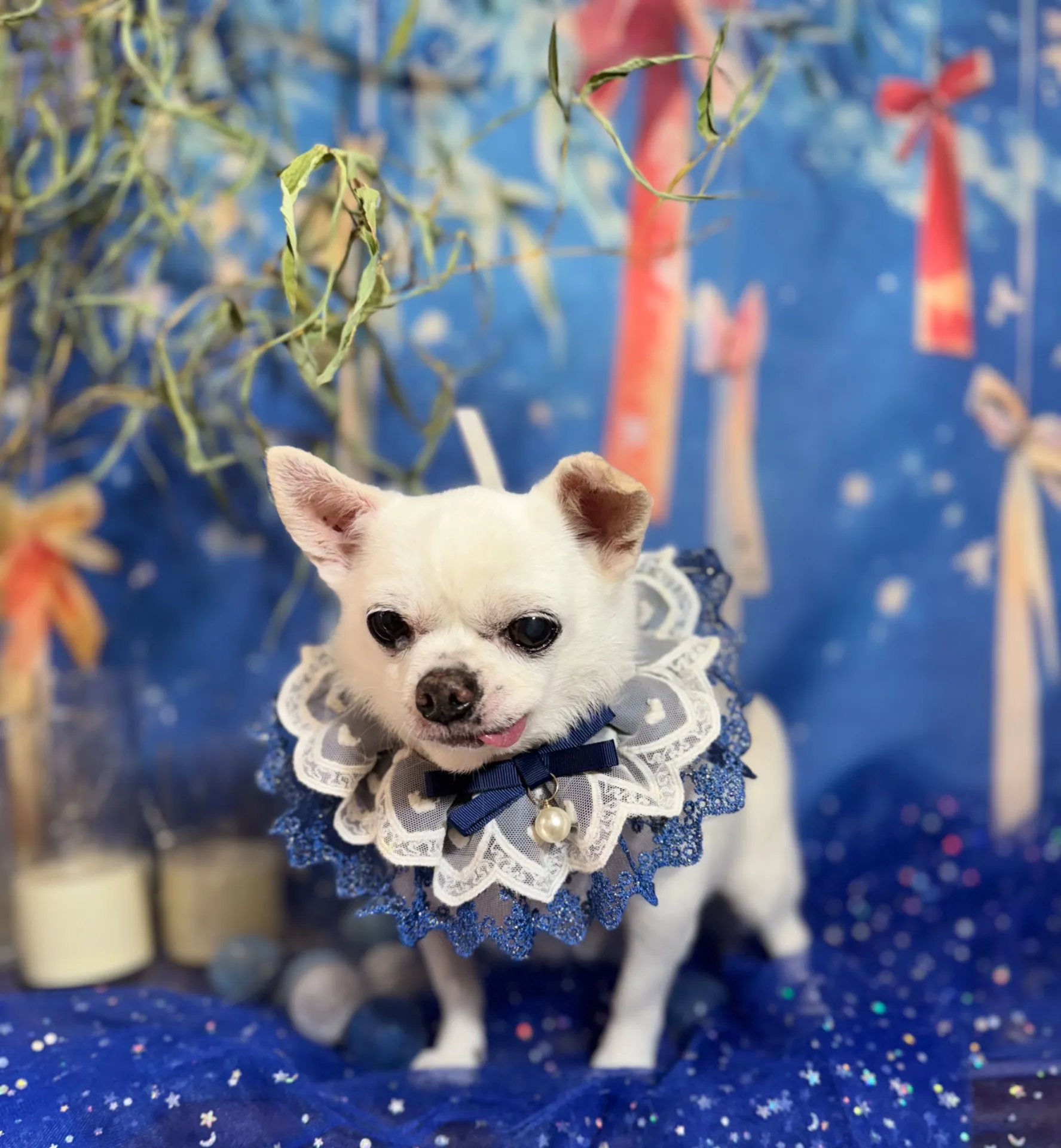 モモちゃん