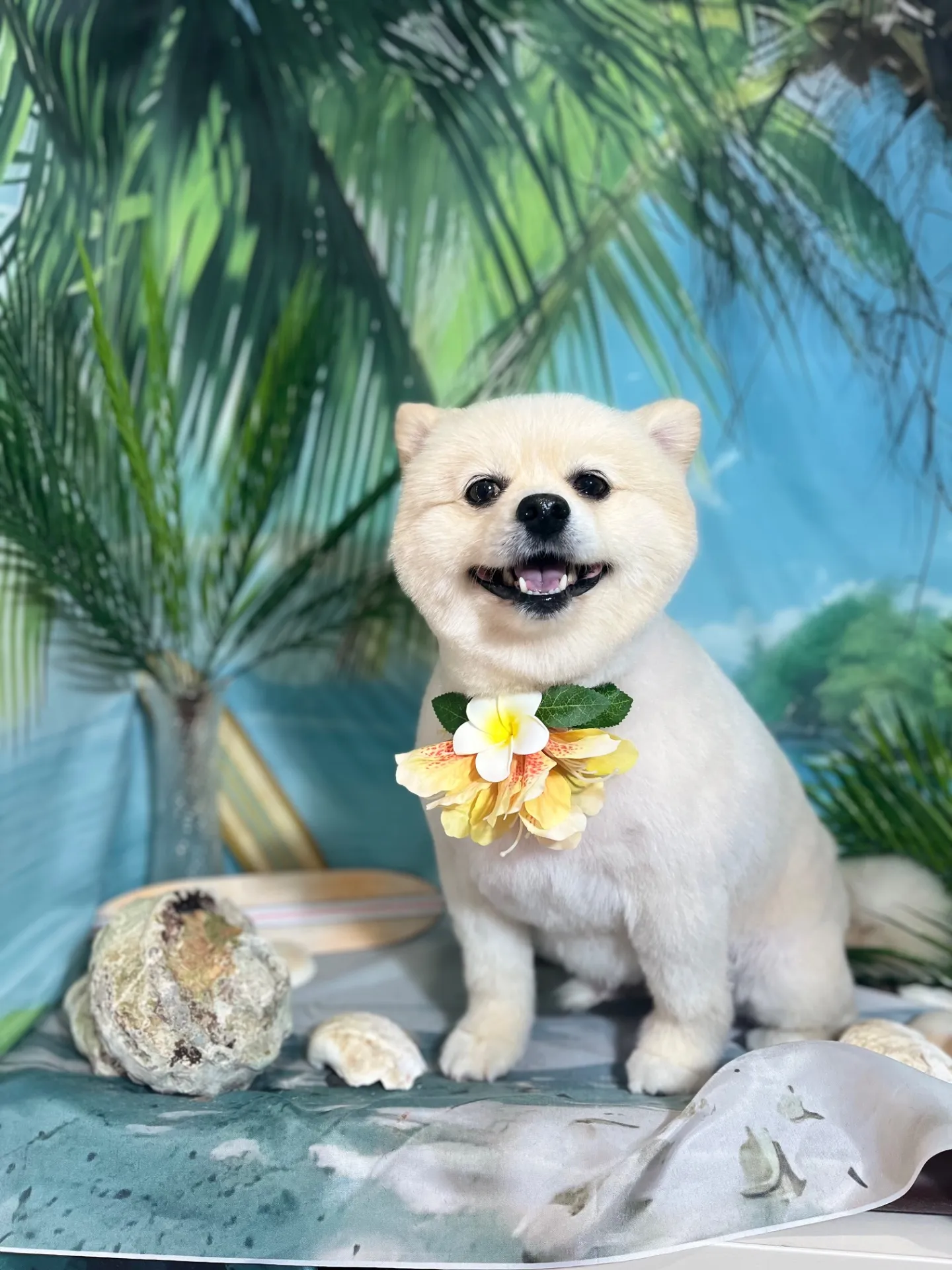 レオくん