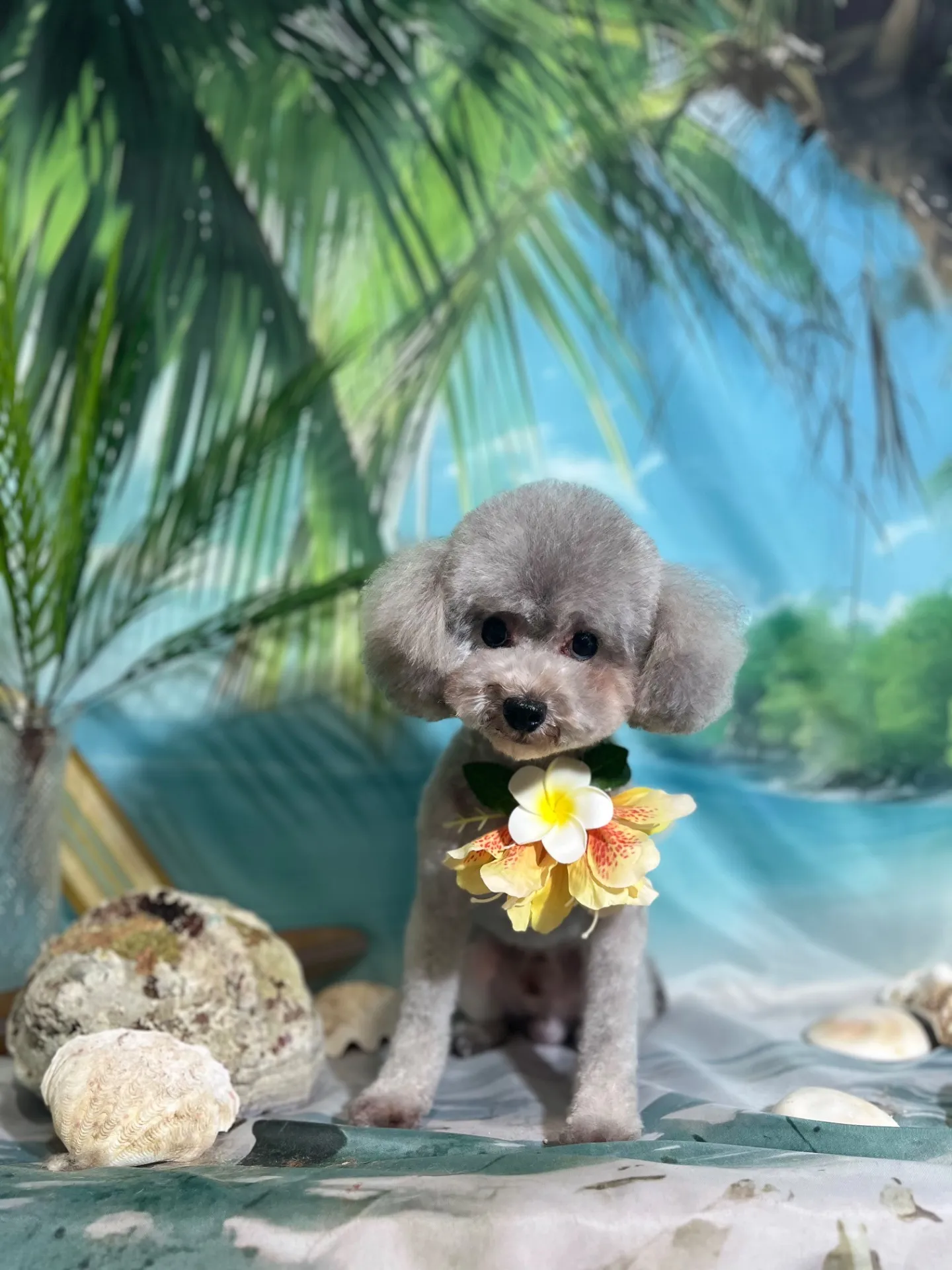タローちゃん