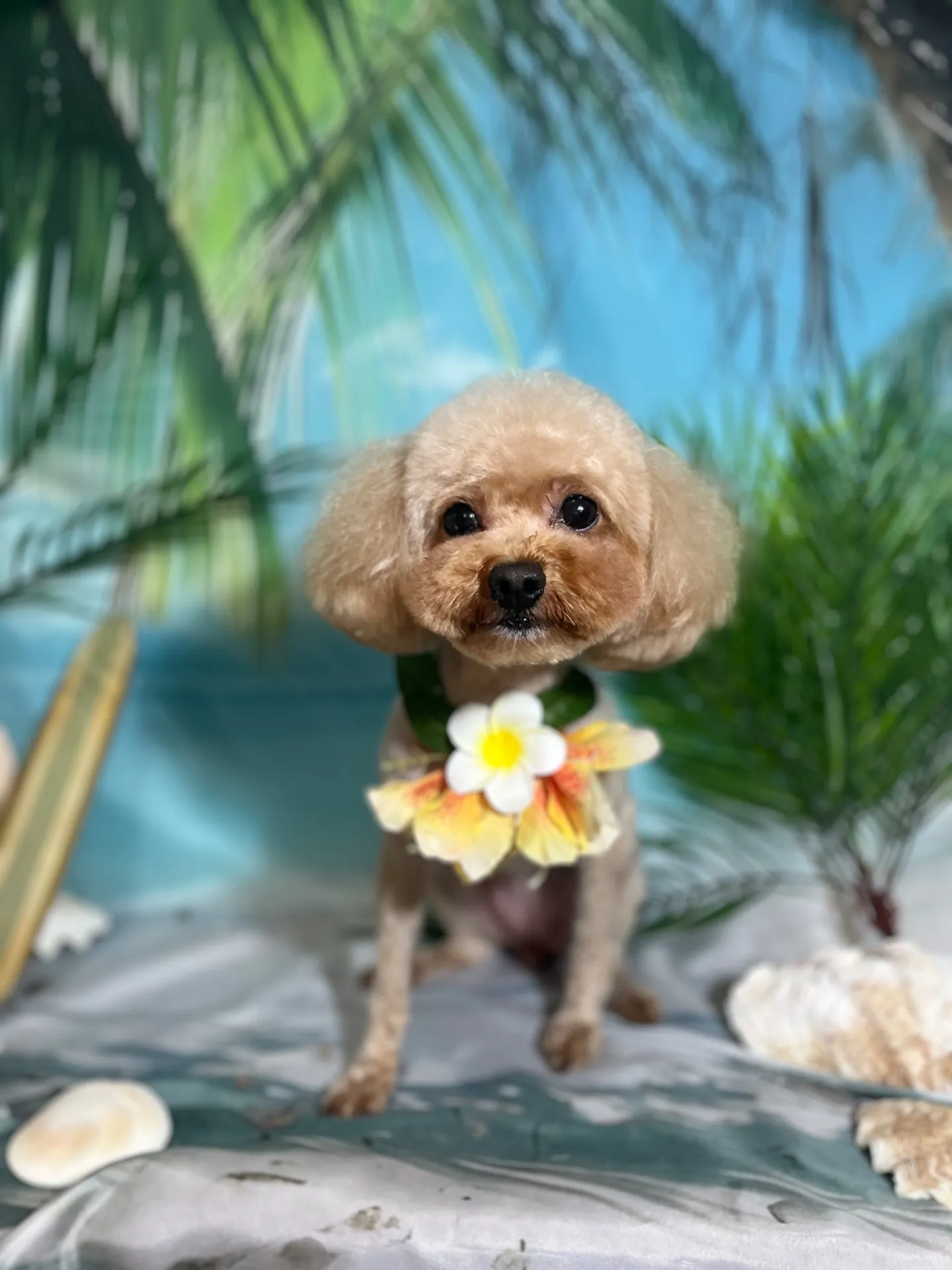 ミルちゃん