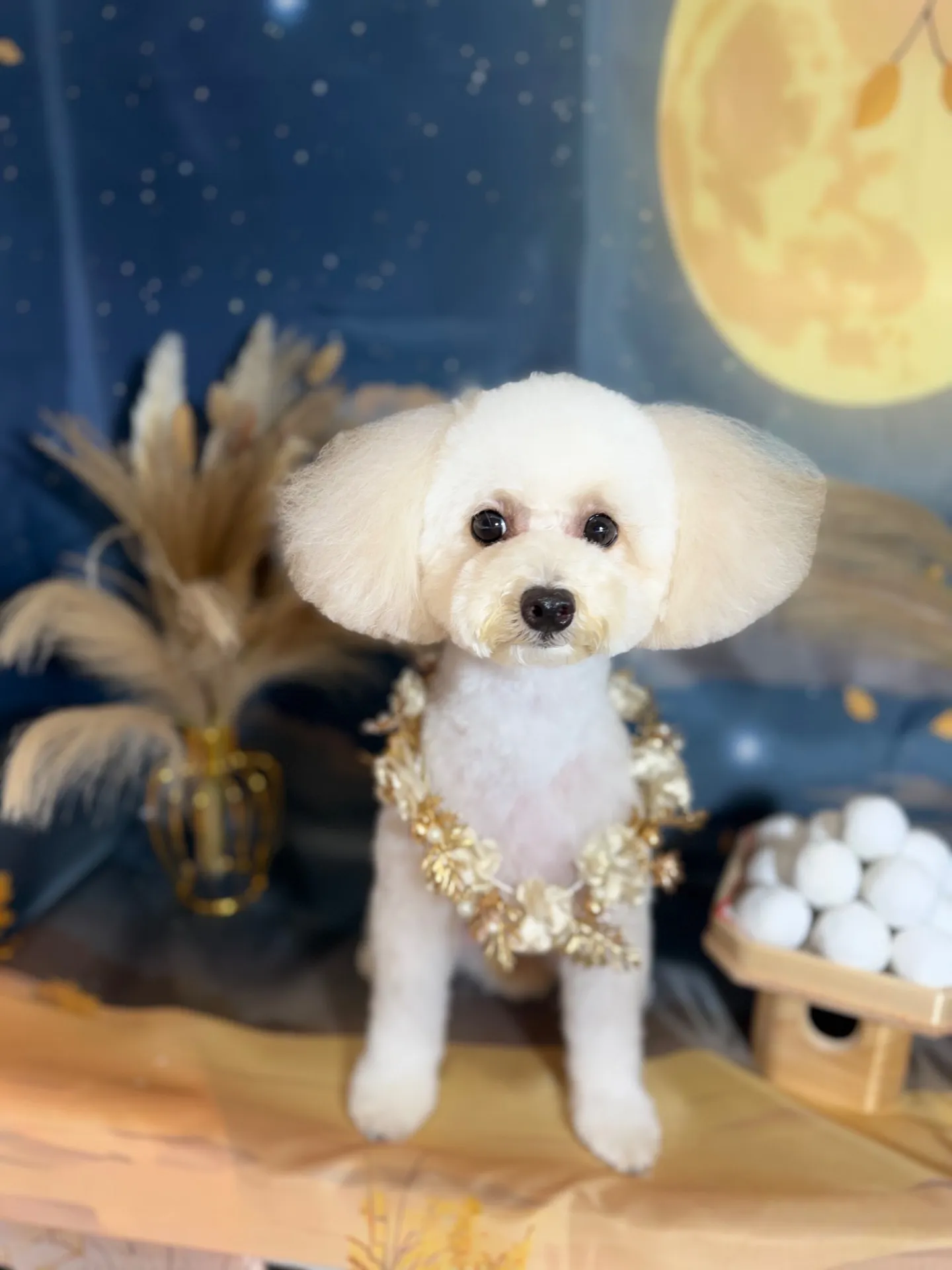 スズちゃん