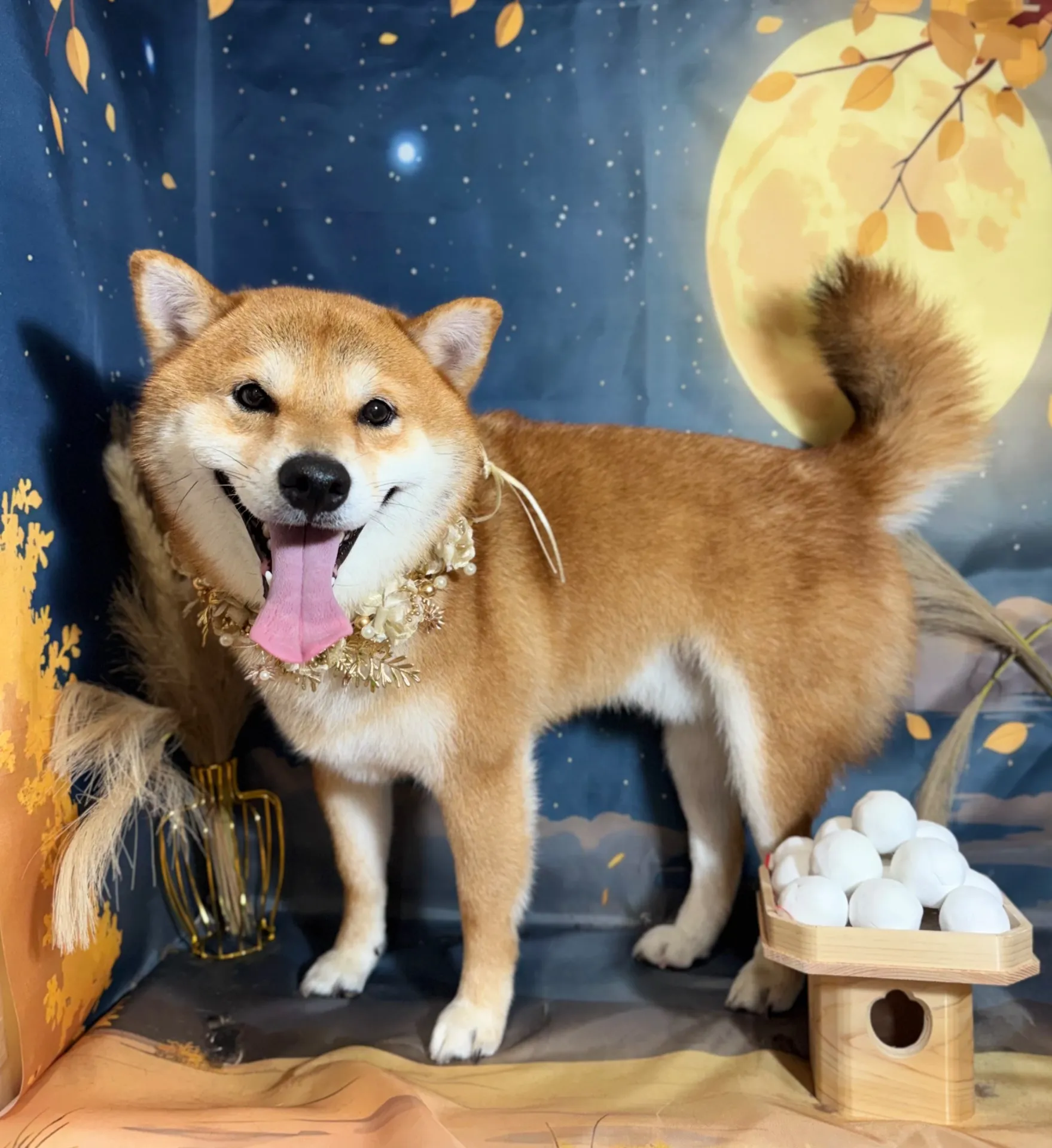 キンタロウくん